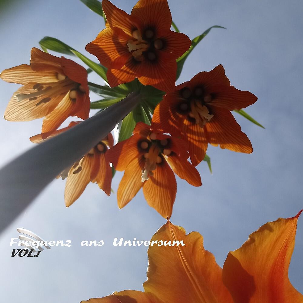 Релиз Frequenz ans Universum, Vol. 1