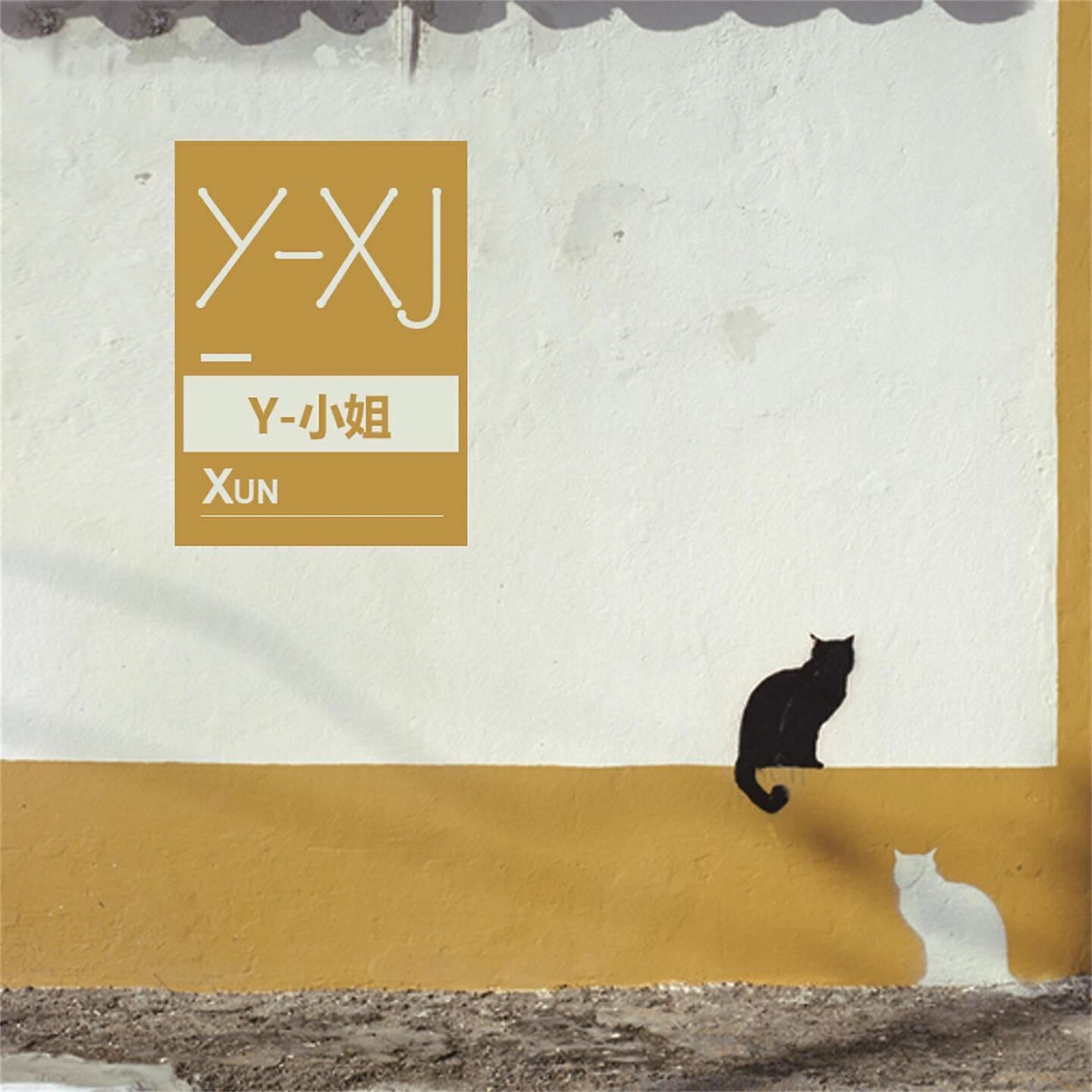 Релиз Y小姐