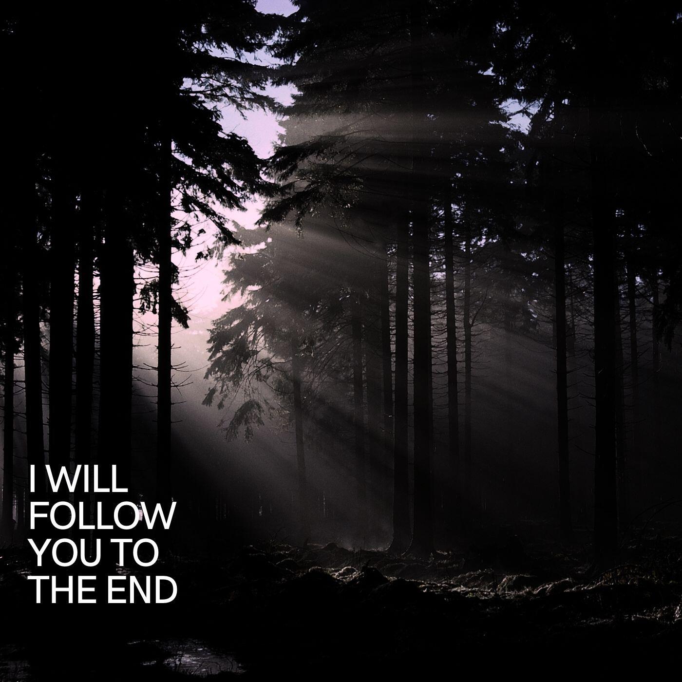 Релиз I will follow you to the end