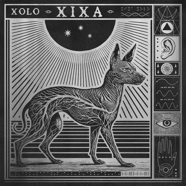 Релиз XOLO
