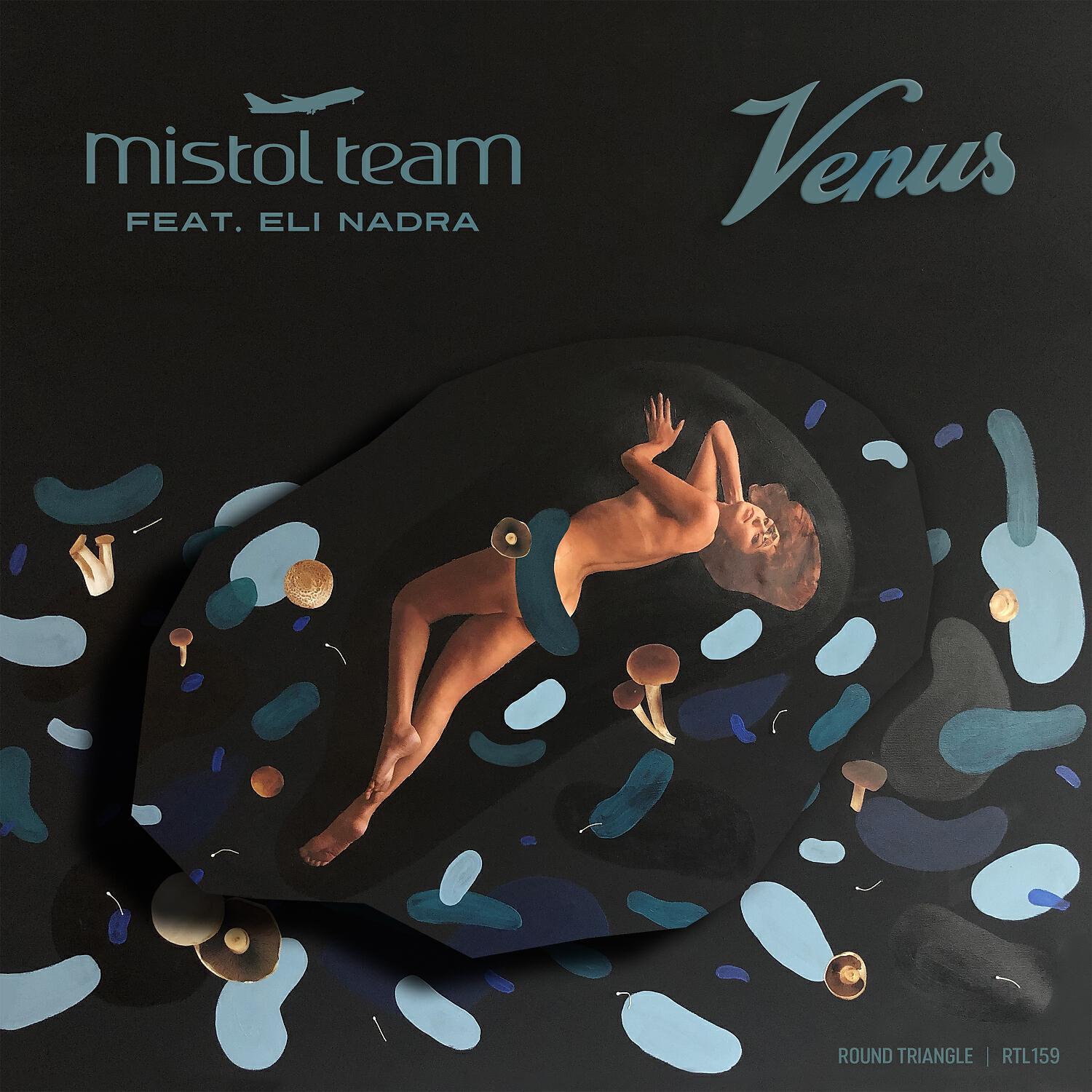 Постер альбома Venus