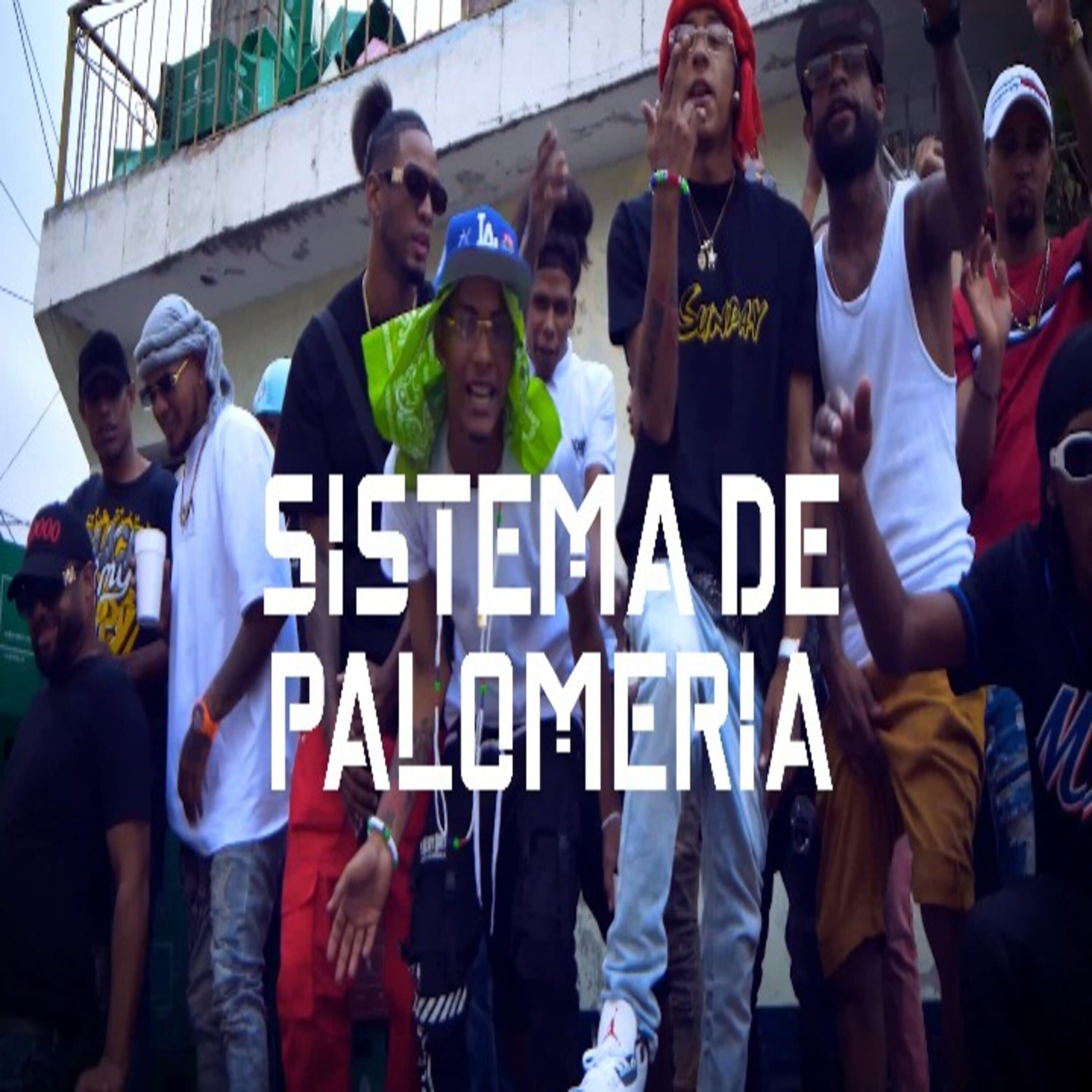 Релиз Sistema de Palomeria
