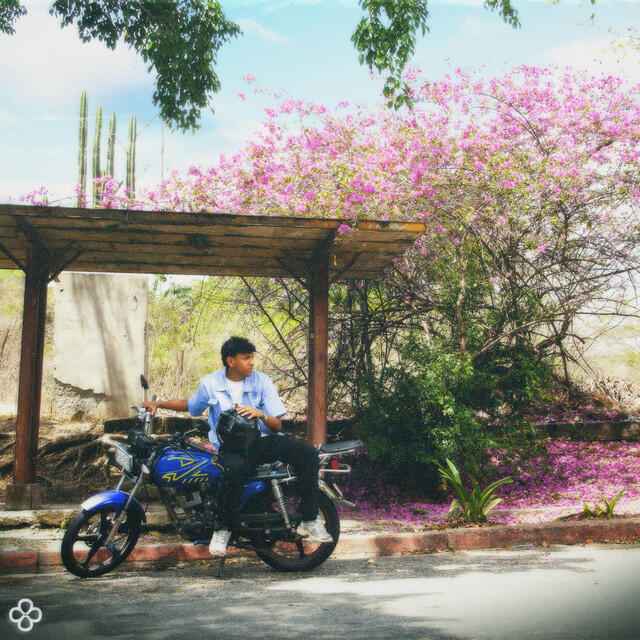 Релиз Me Lacreo / El Rookie