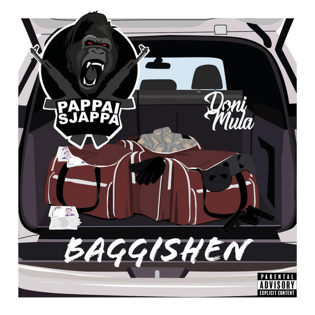 Релиз Baggishen