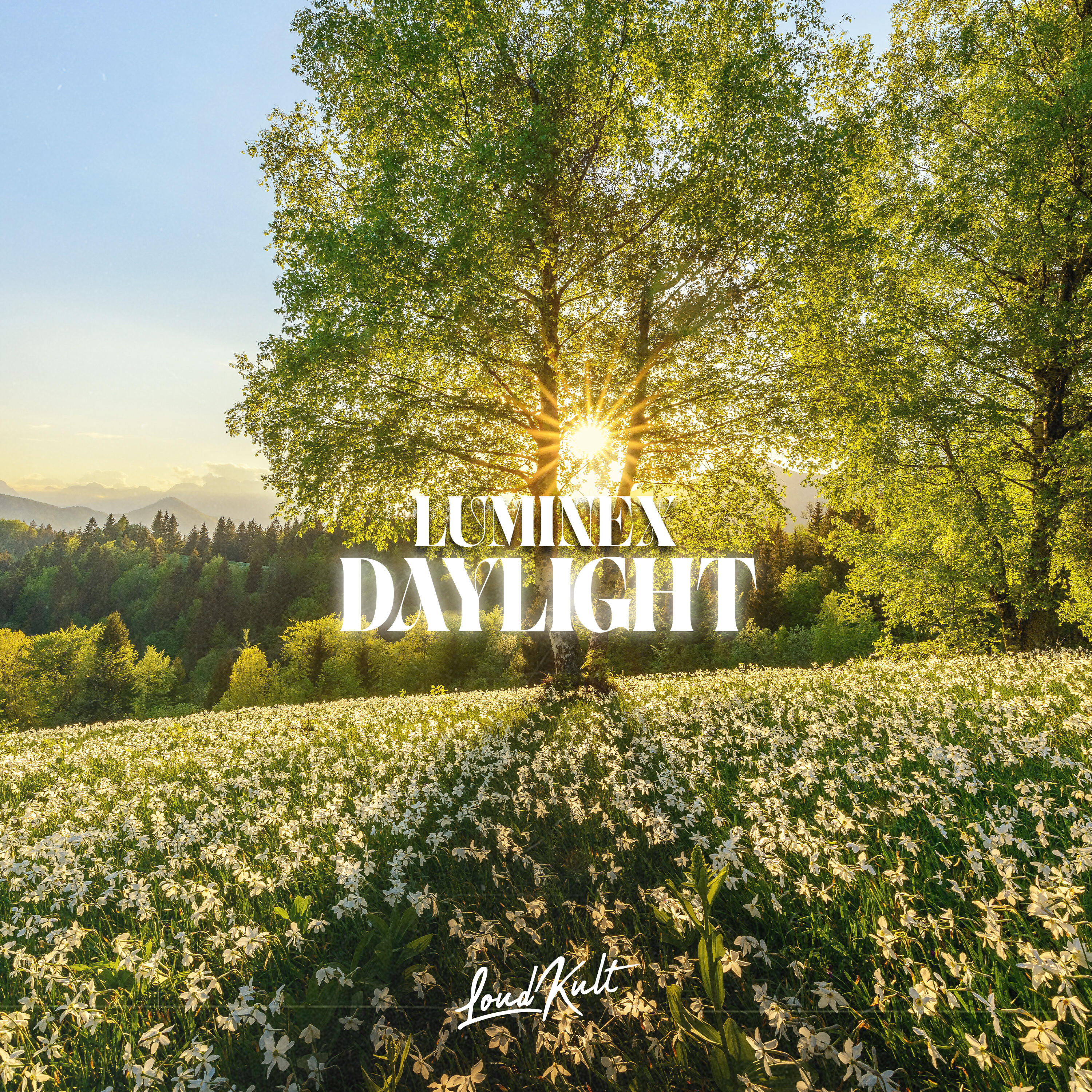 Релиз Daylight