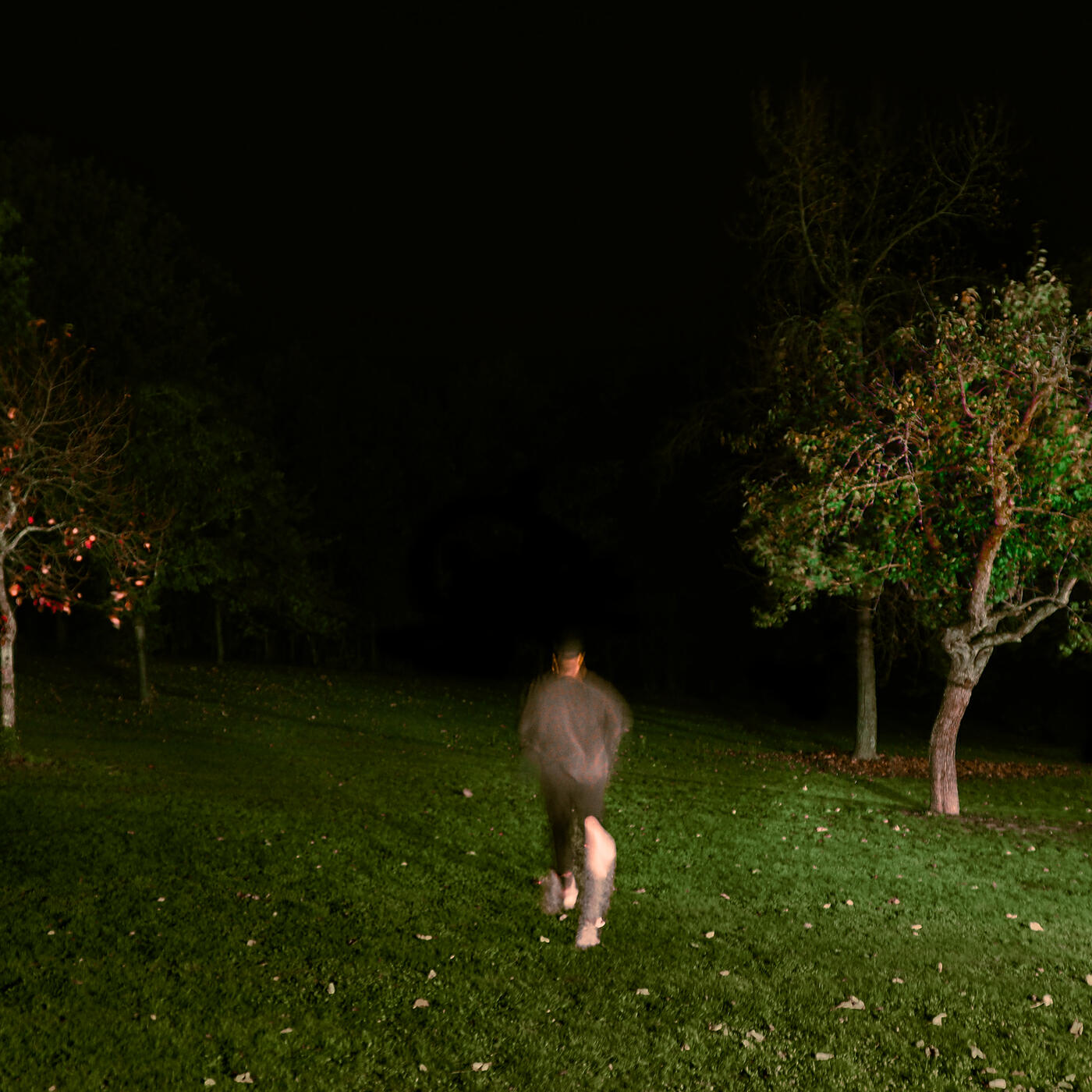 Релиз La nuit