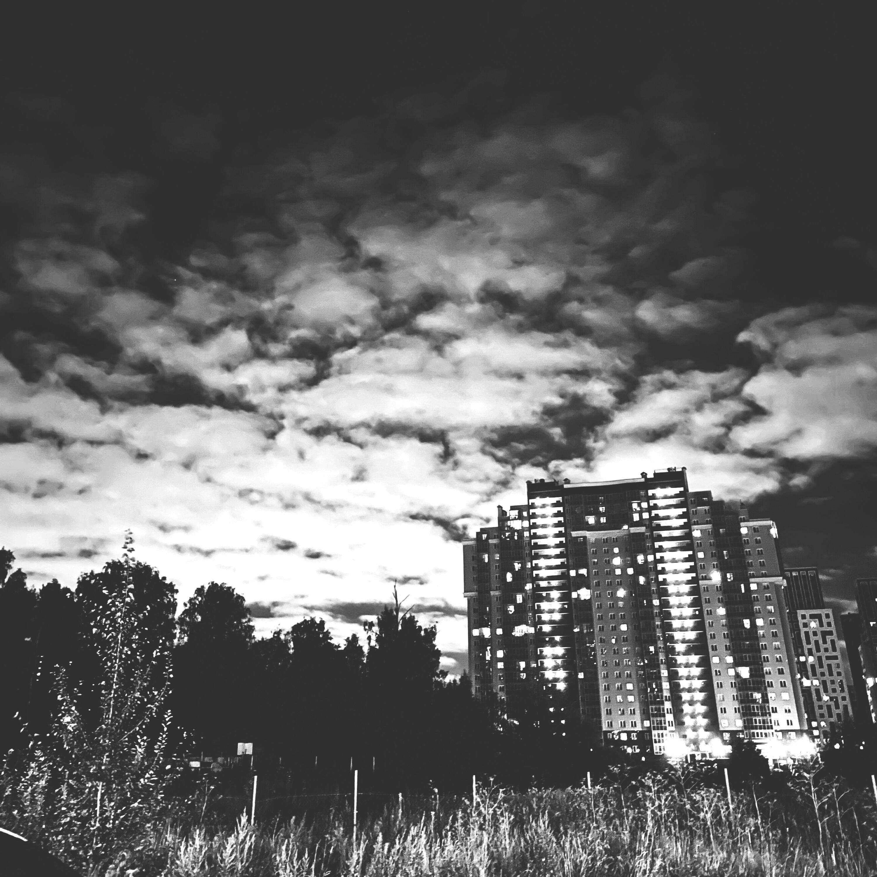 Релиз insight