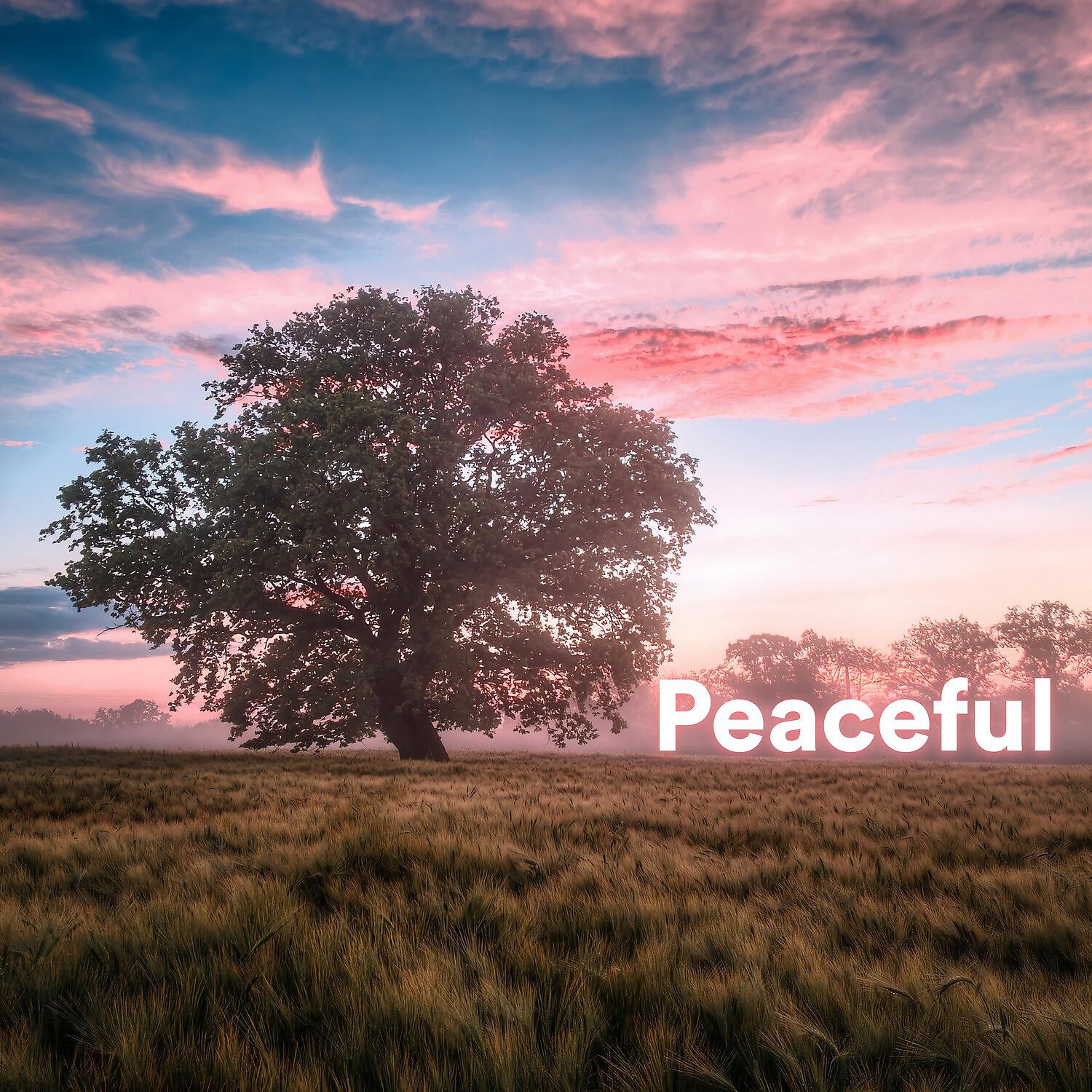 Релиз Peaceful