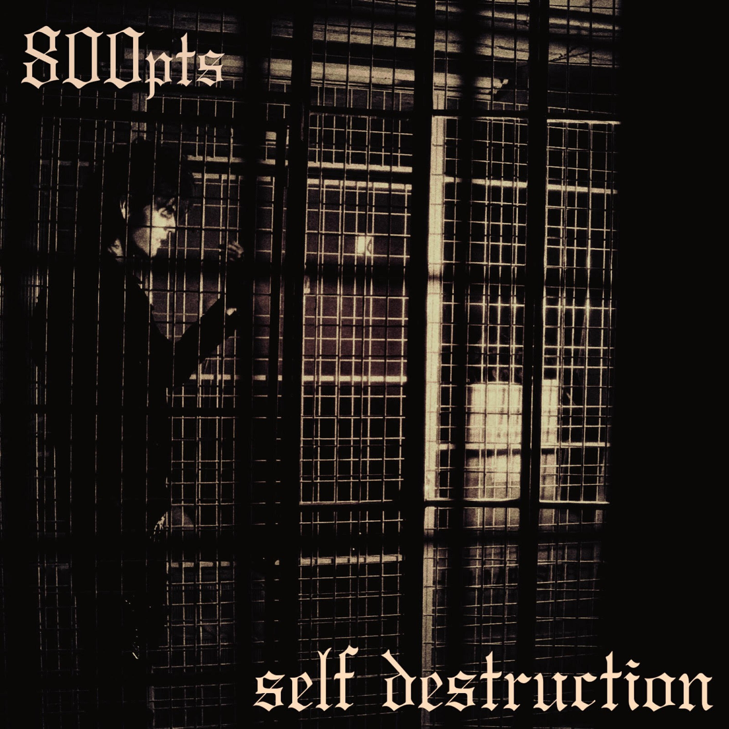 Релиз self destruction