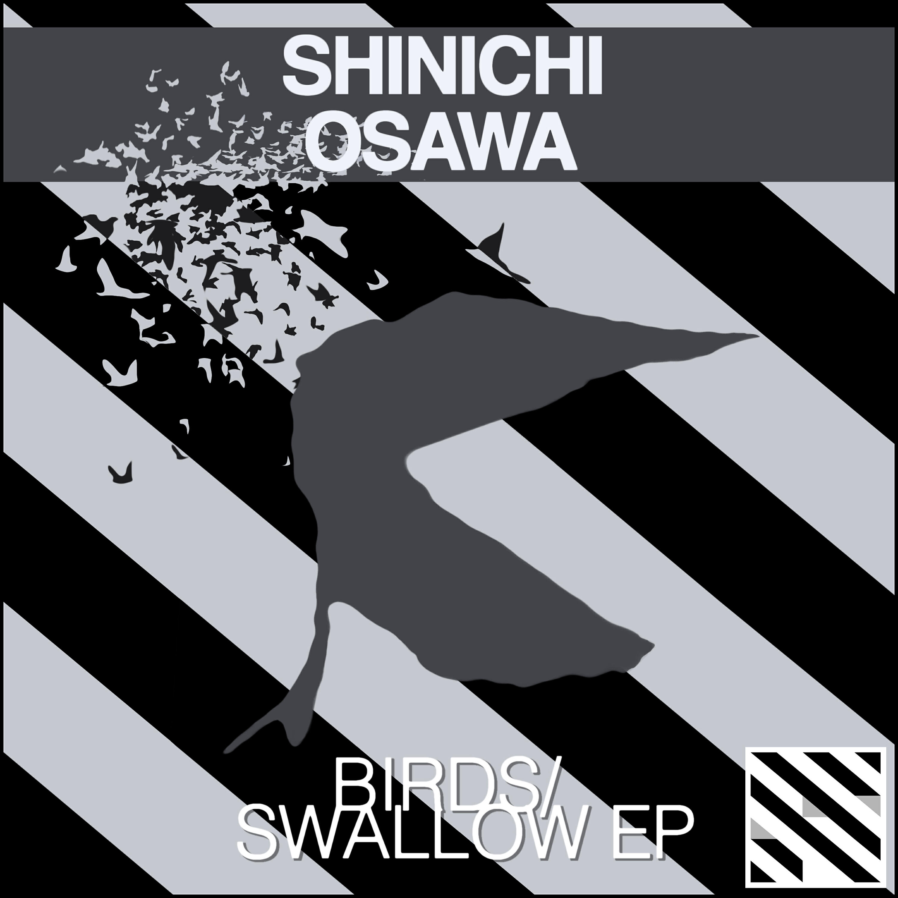 Релиз Birds/Swallow - EP