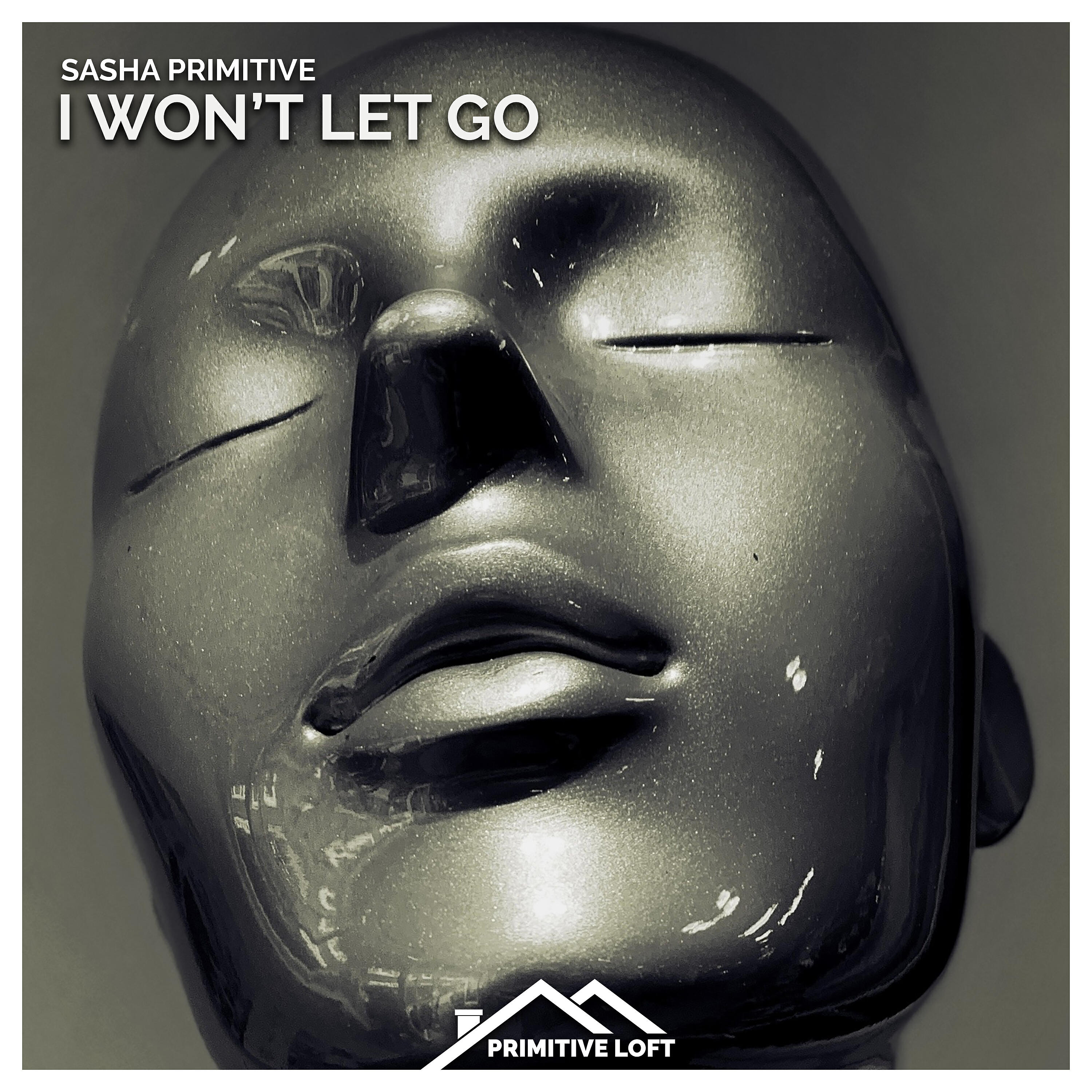 Релиз I Won't Let Go