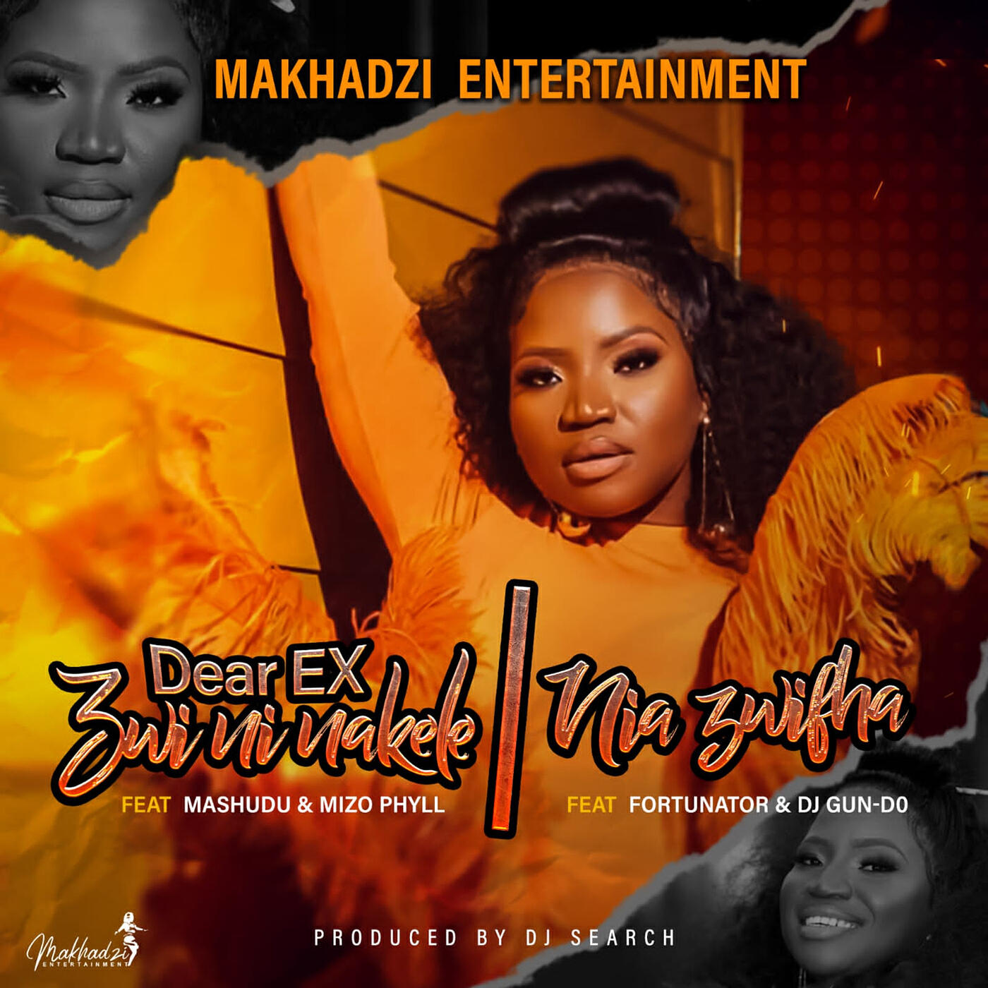 Релиз Dear EX (Zwininakele) / Niazwifha