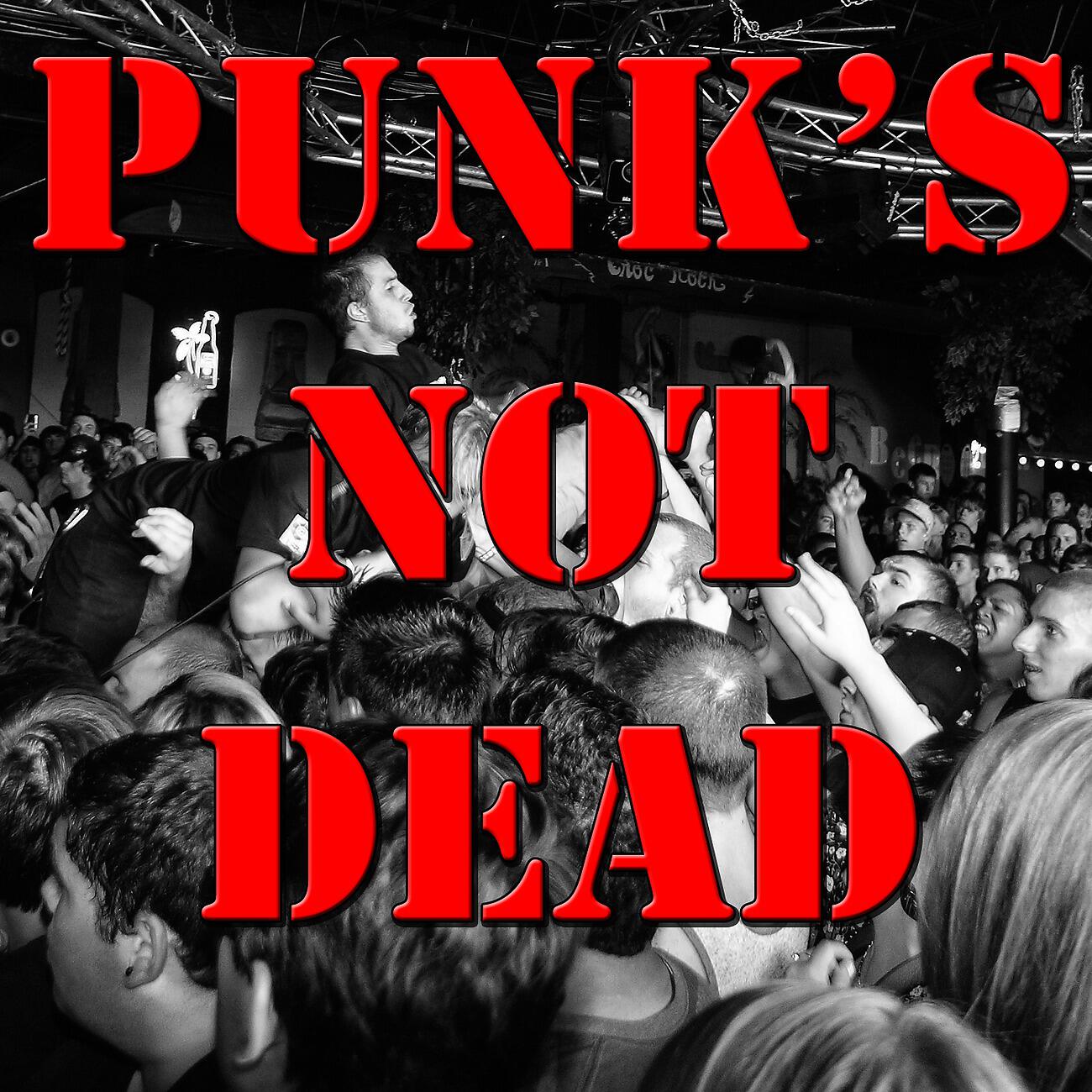 Постер альбома Punk's Not Dead, Vol.2