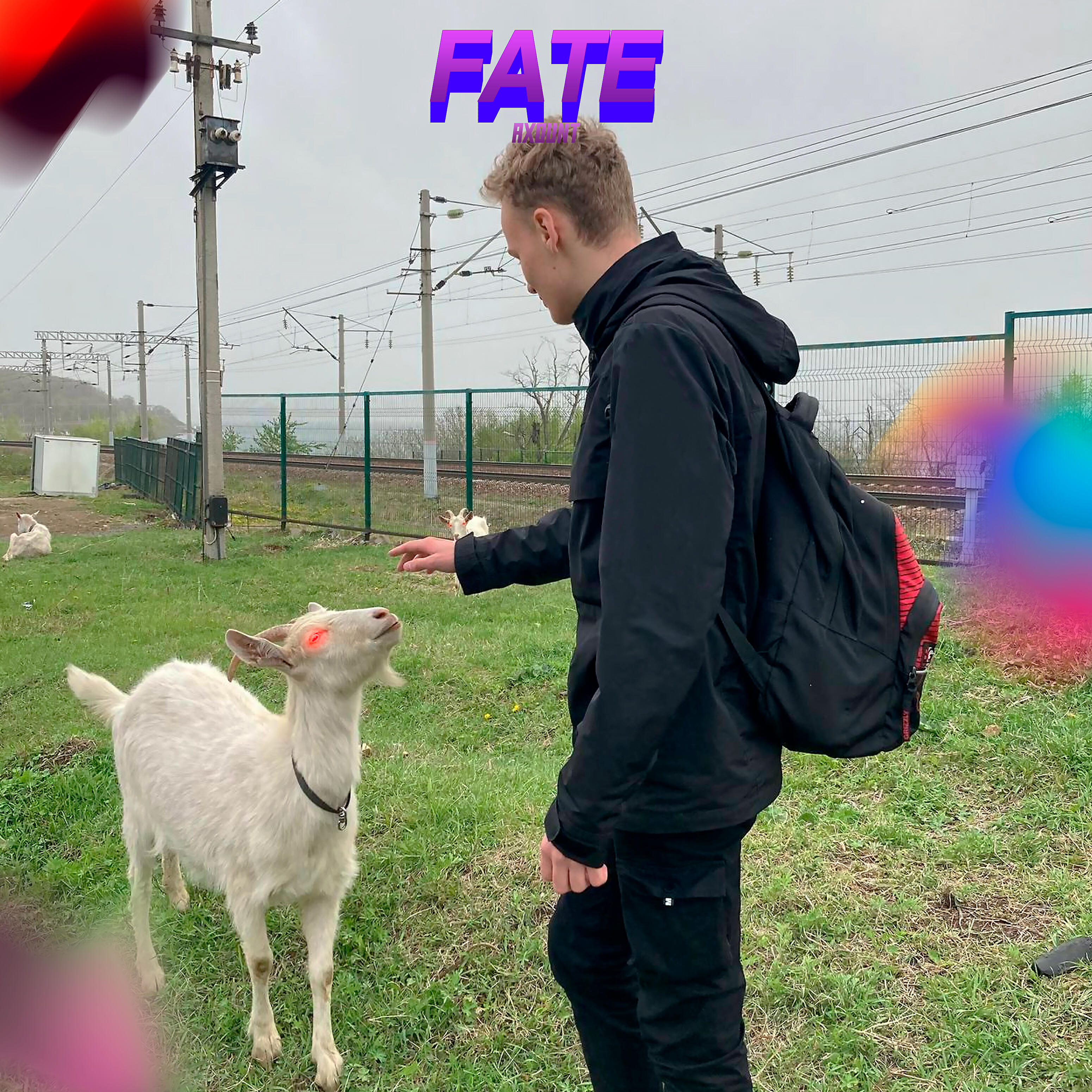 Релиз Fate