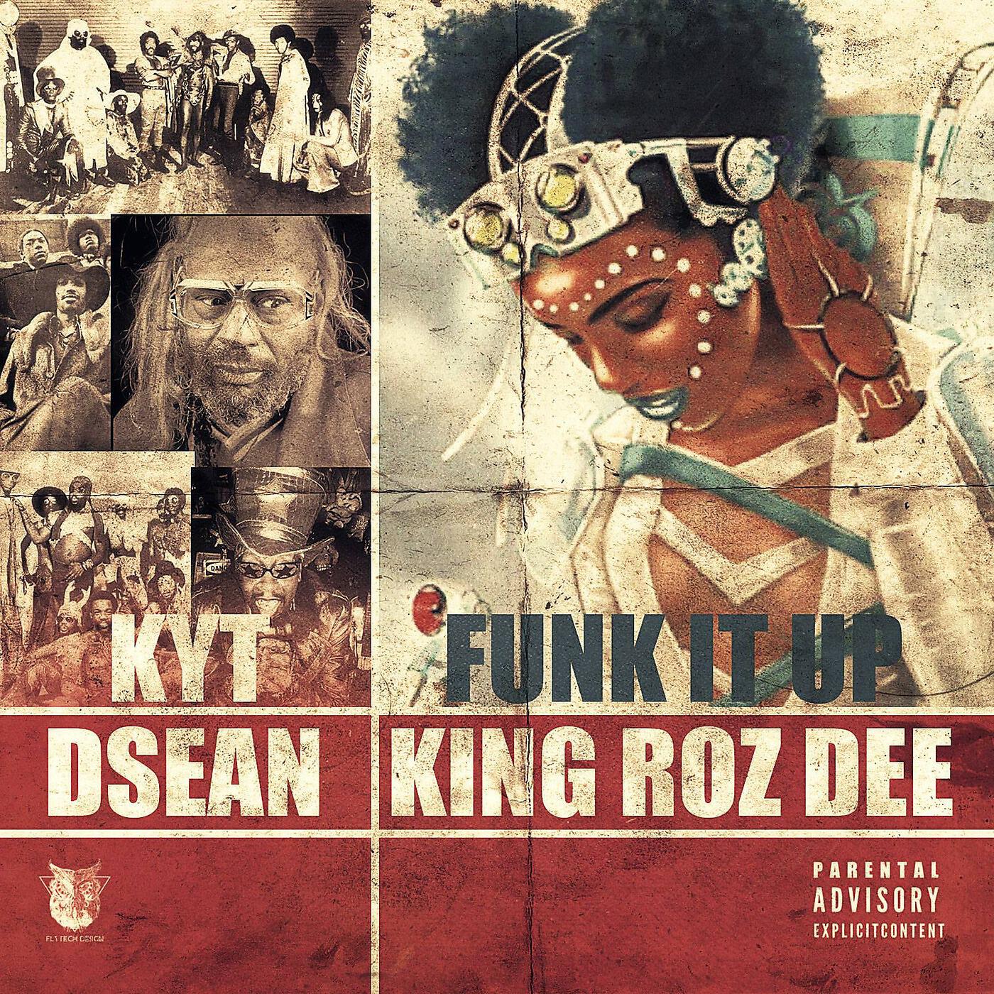 Постер альбома Funk It Up (feat. King Roz Dee & DSean)