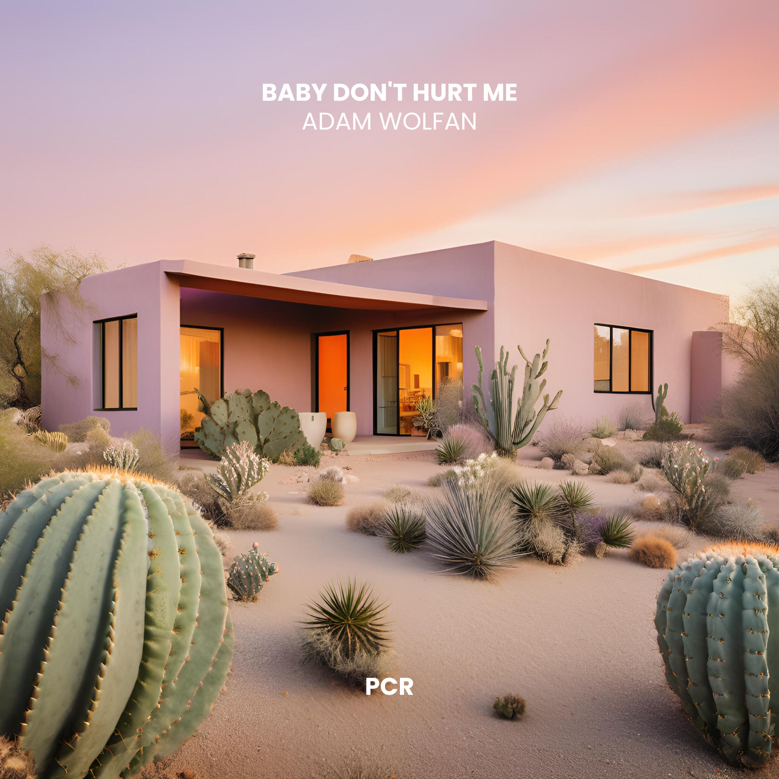 Релиз Baby Don't Hurt Me (Afro House)
