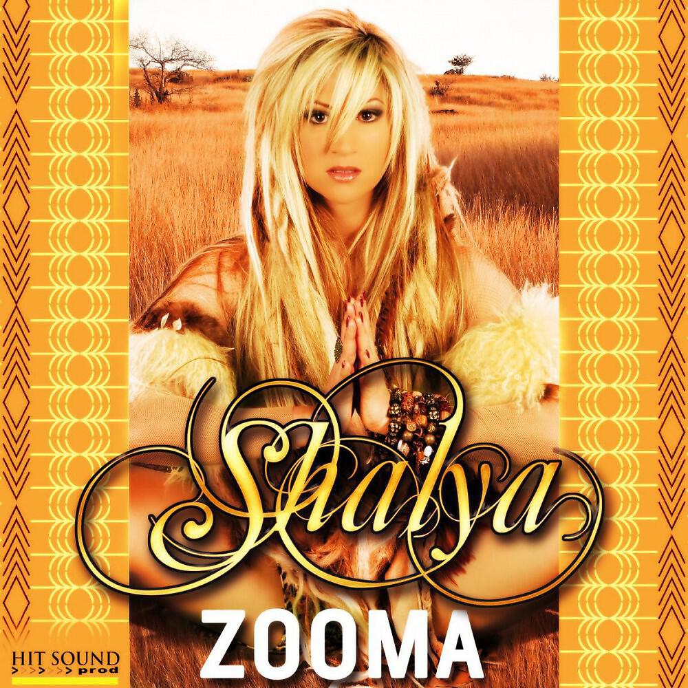 Релиз Zooma