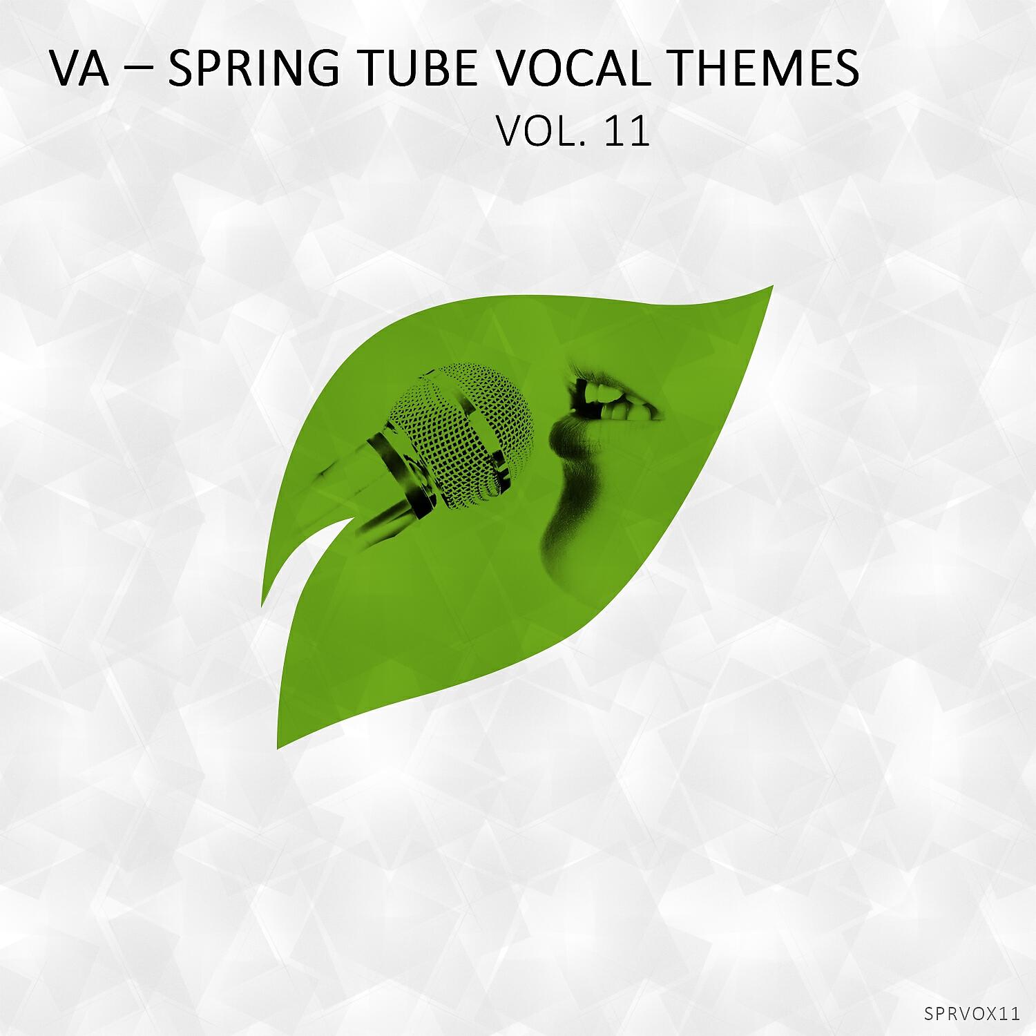 Релиз Spring Tube Vocal Themes, Vol.11
