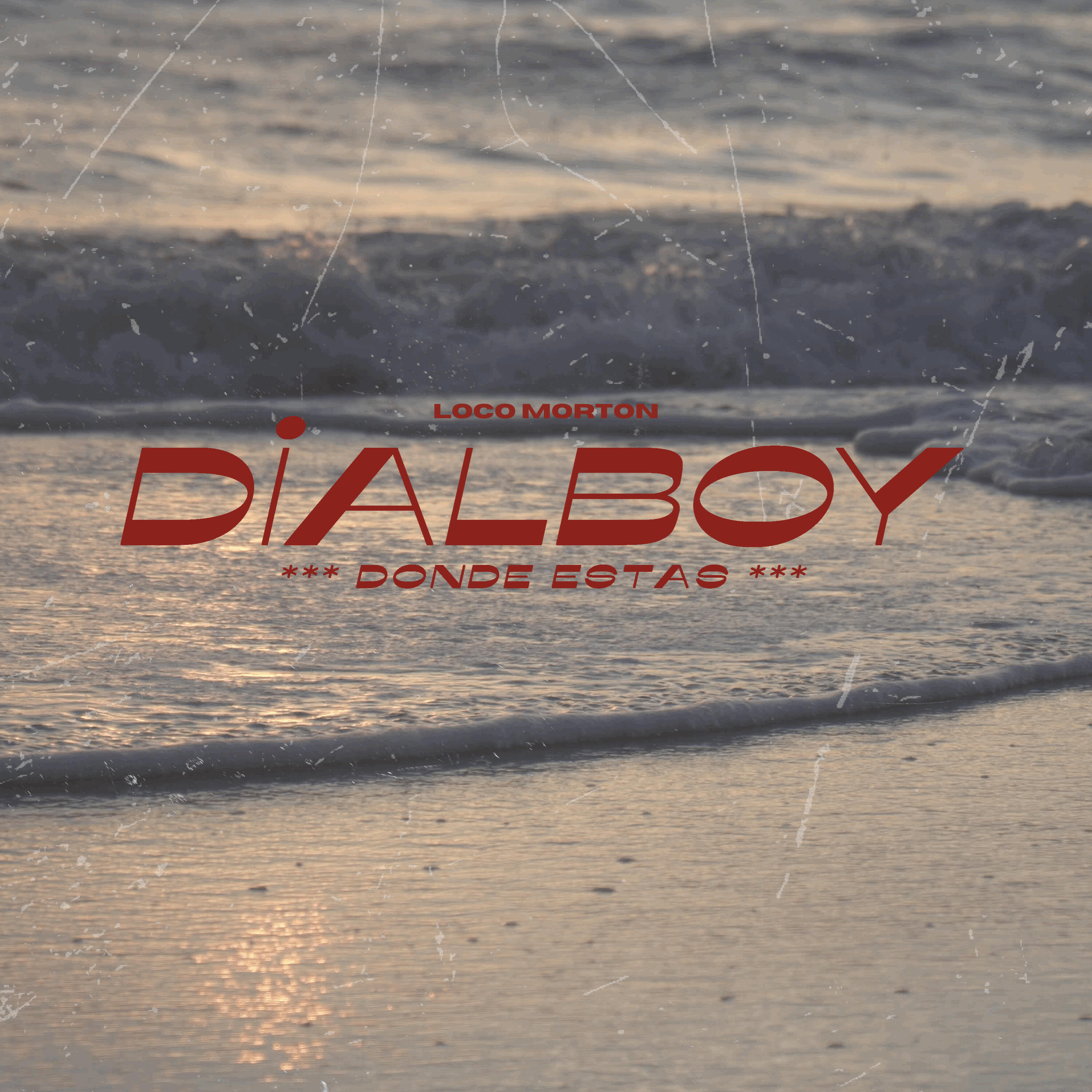 dialboy