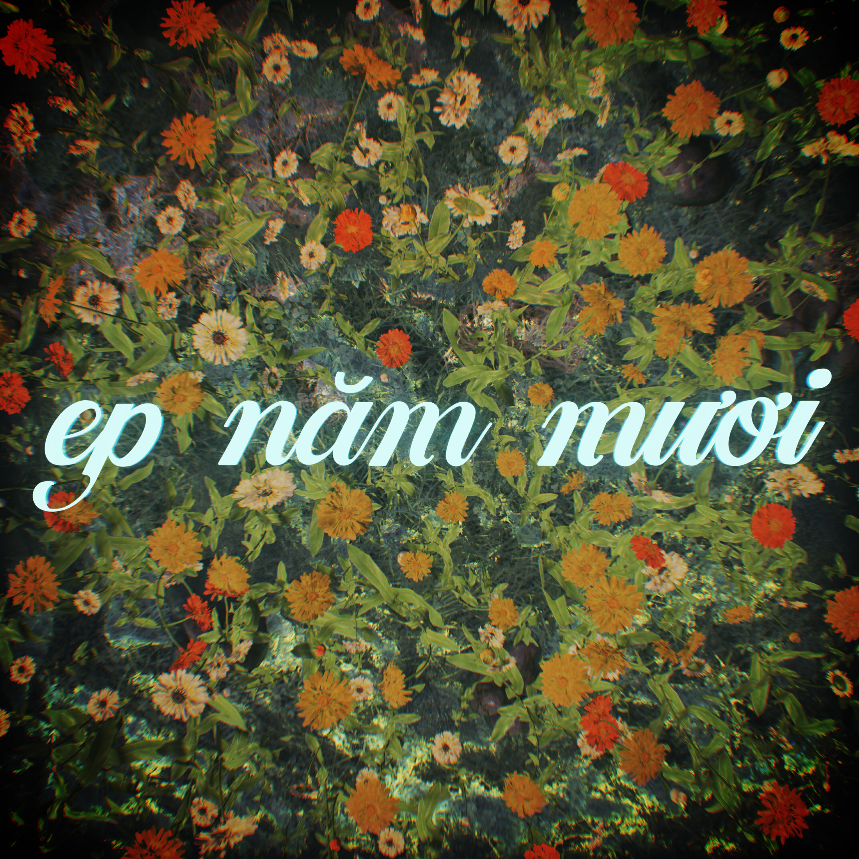 Релиз Năm Mươi