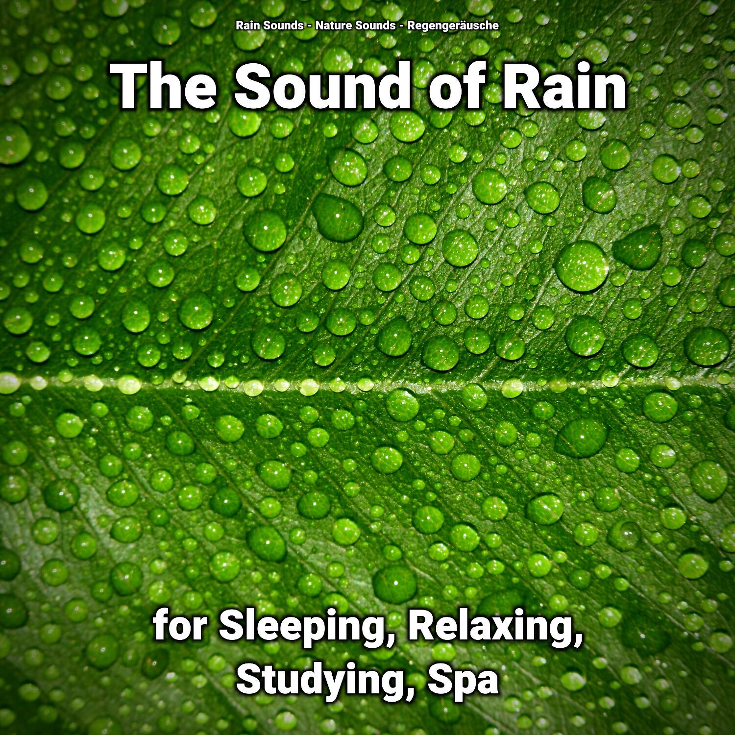 Релиз The Sound of Rain for Sleeping, Relaxing, Studying, Spa