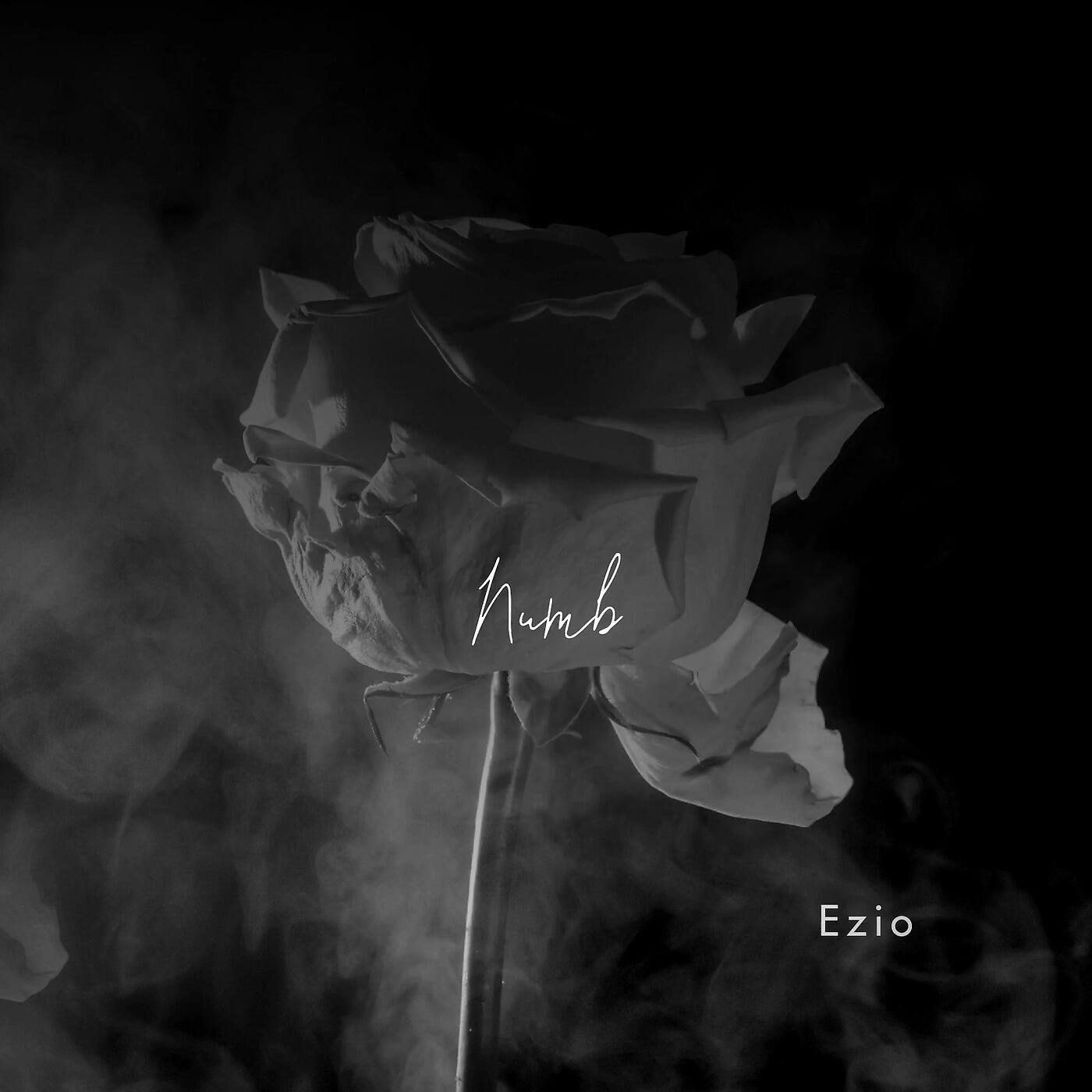 Релиз Numb