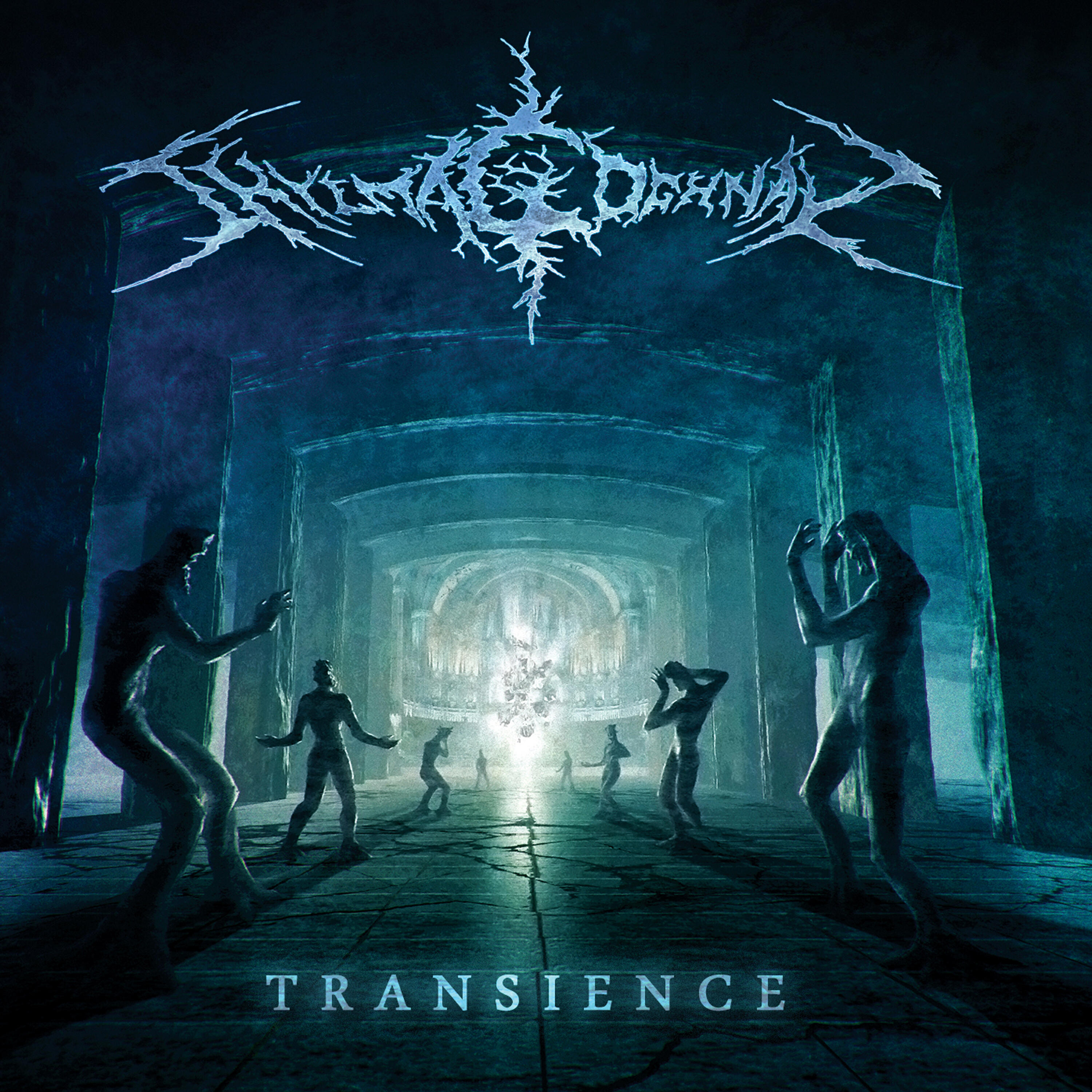 Релиз Transience
