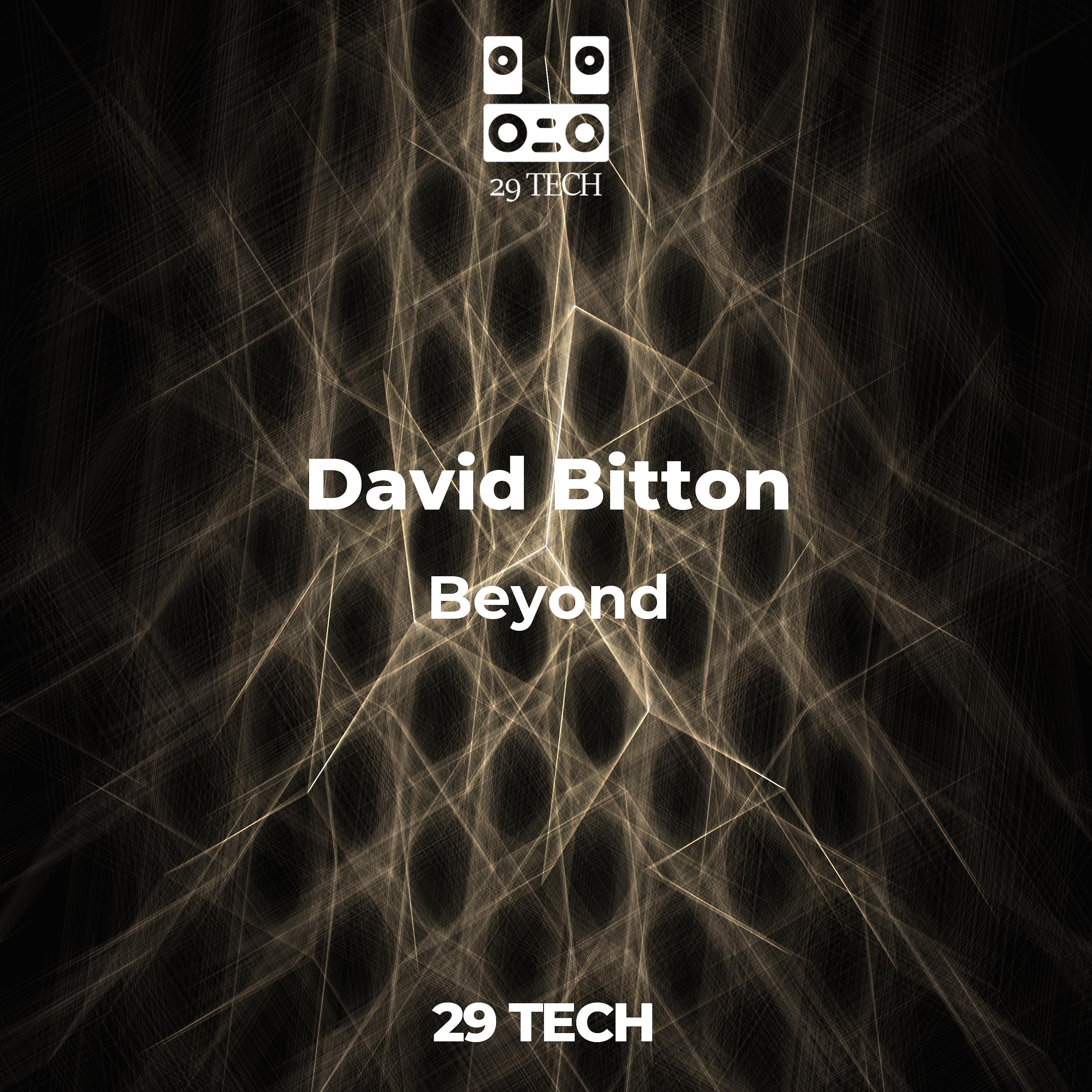 David Bitton