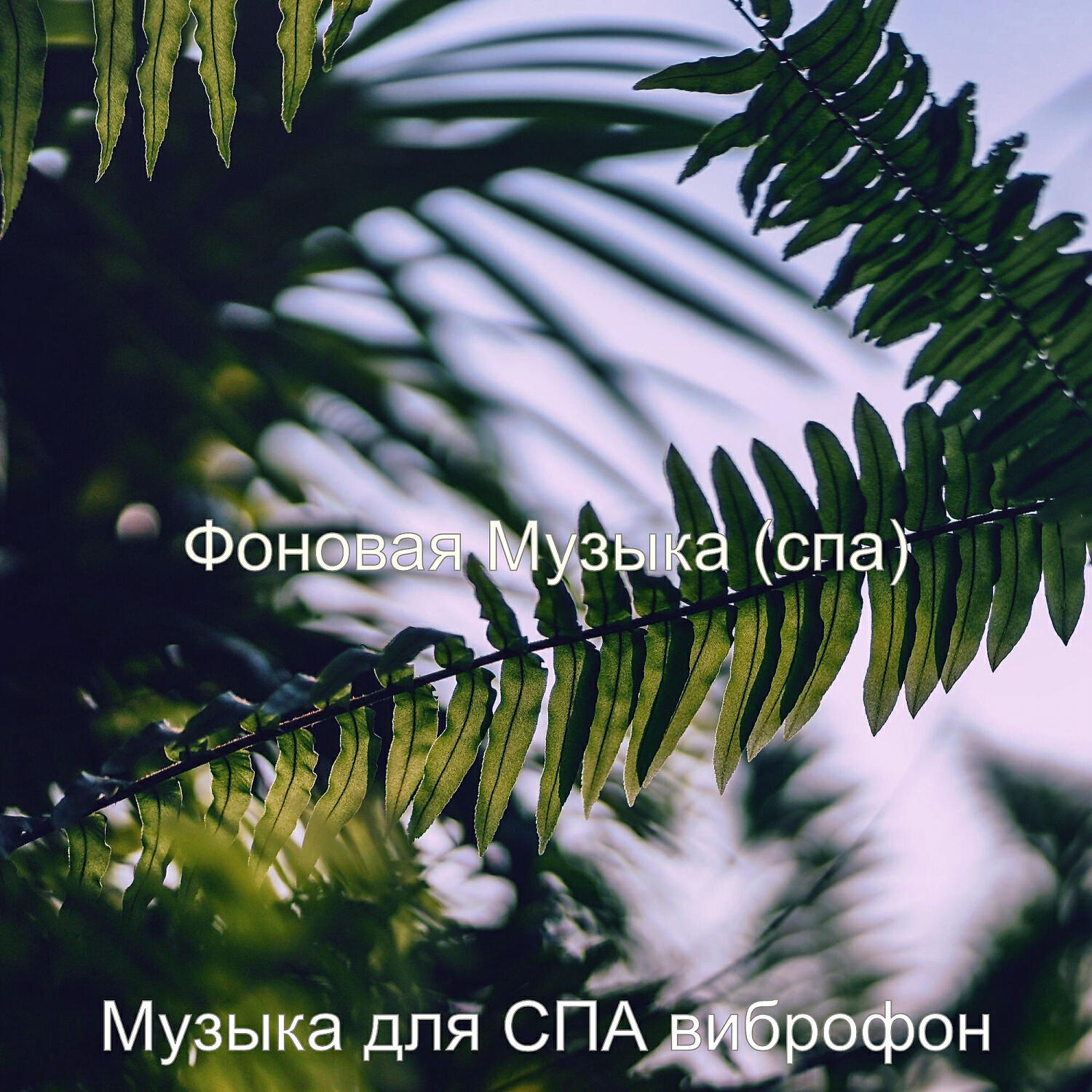 Обложка альбома