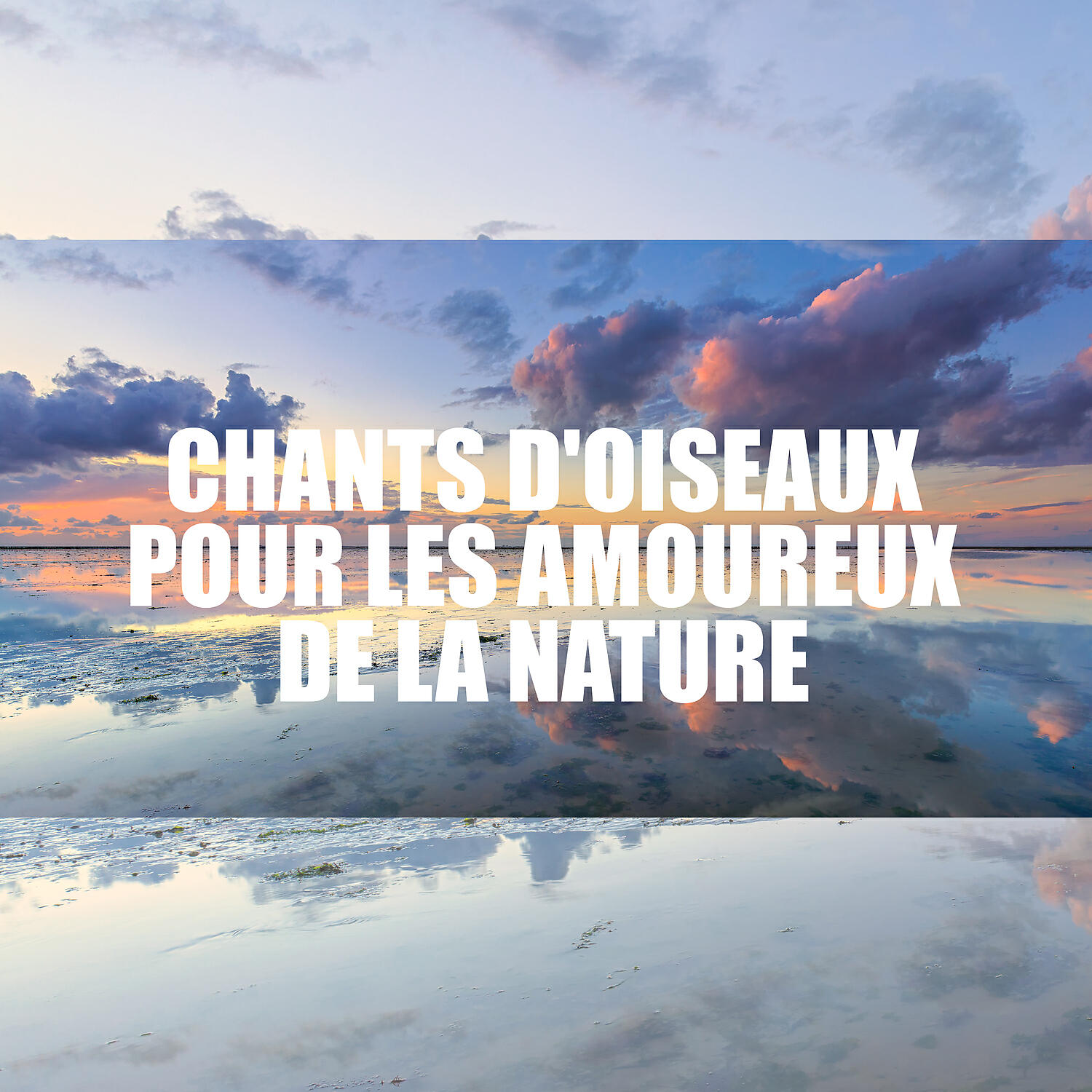 Релиз Chants d'oiseaux pour les amoureux de la nature: Thérapie de la nature, Proche de la nature, Sons curatifs, Zone de relaxation