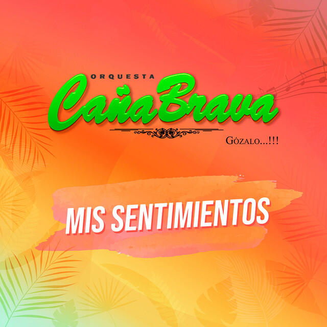 Релиз Mis Sentimientos