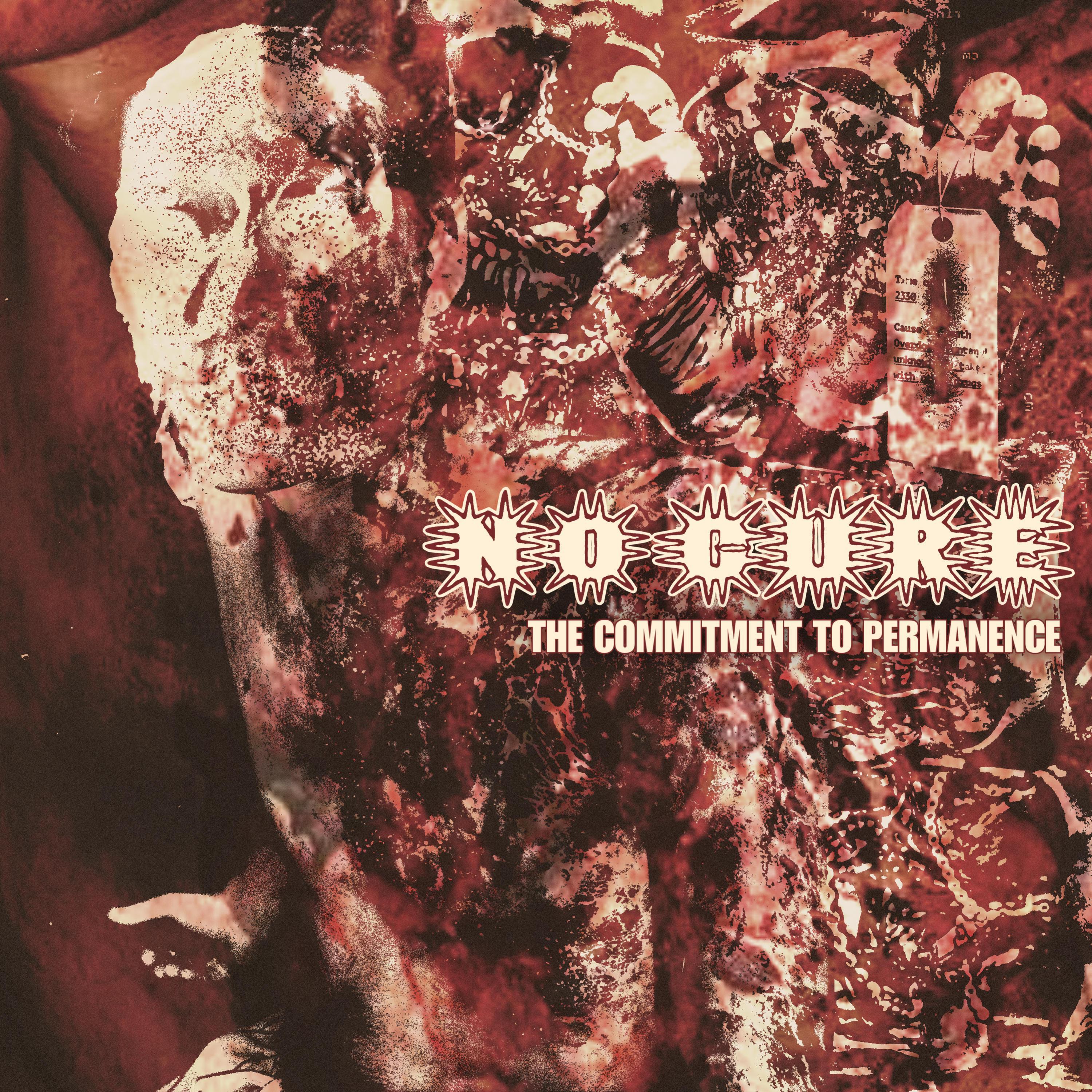 Релиз The Commitment To Permanence