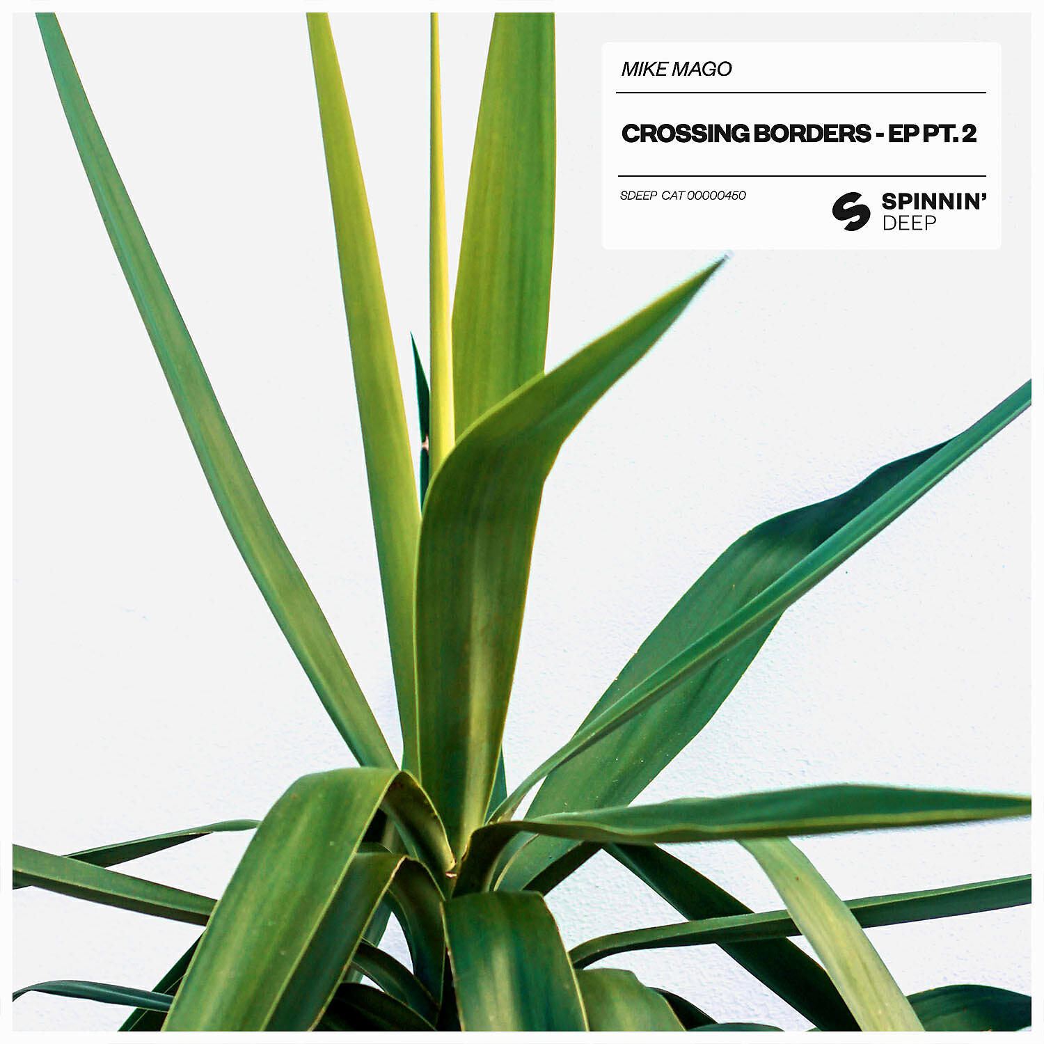 Скачать песню Mike Mago - Give Me Your Love бесплатно в MP3 для Android и iOS