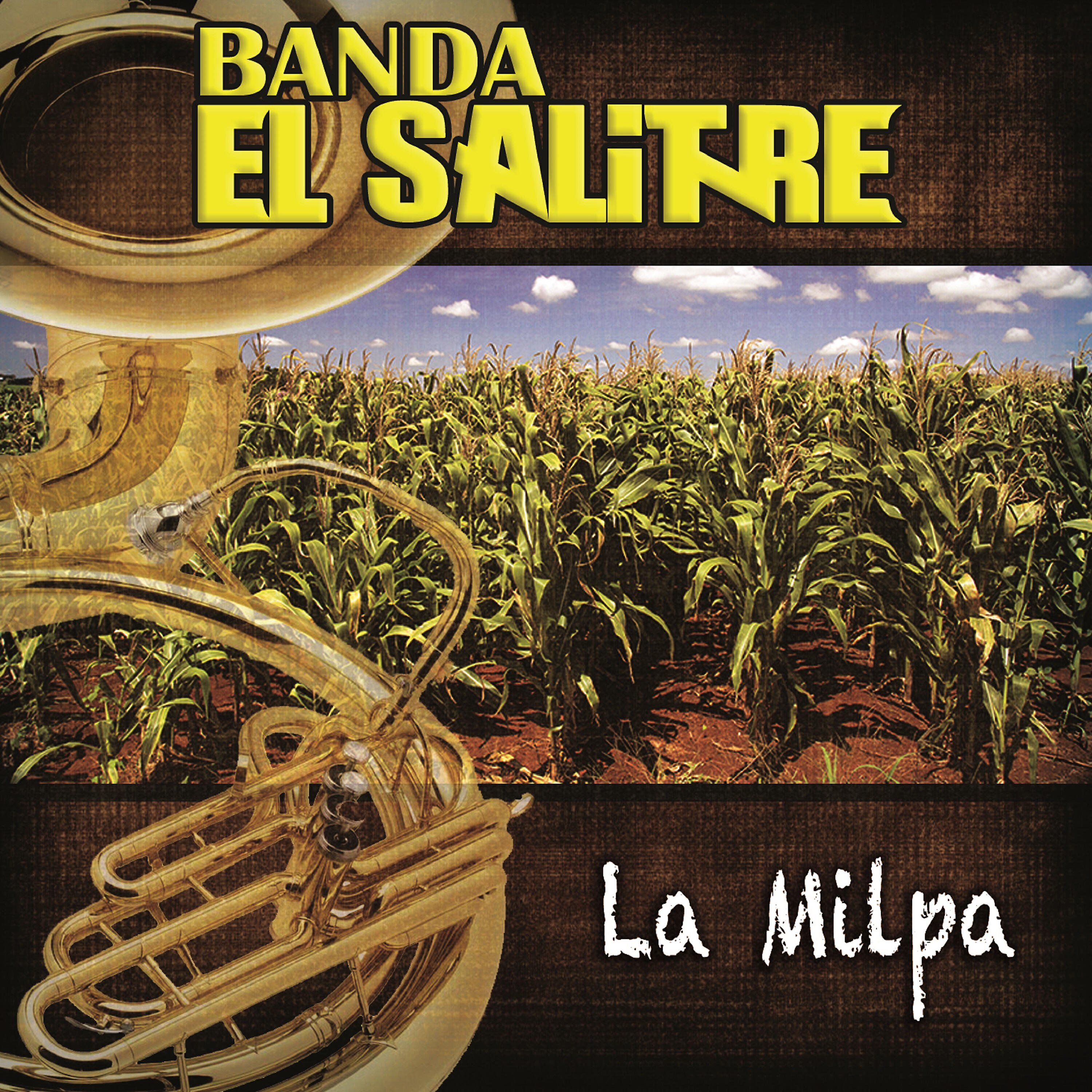 Banda el Salitre