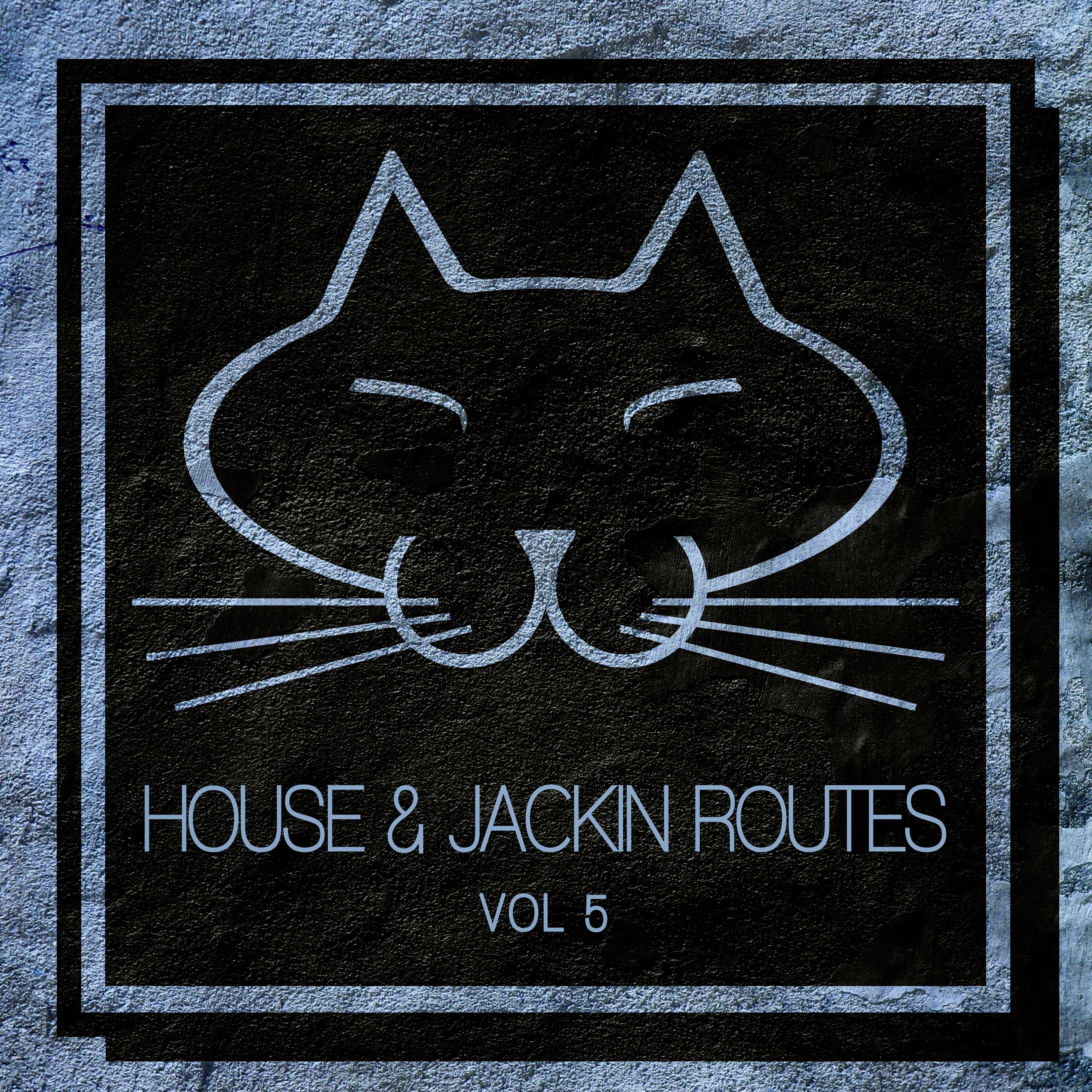 Релиз House & Jackin Routes, Vol. 5