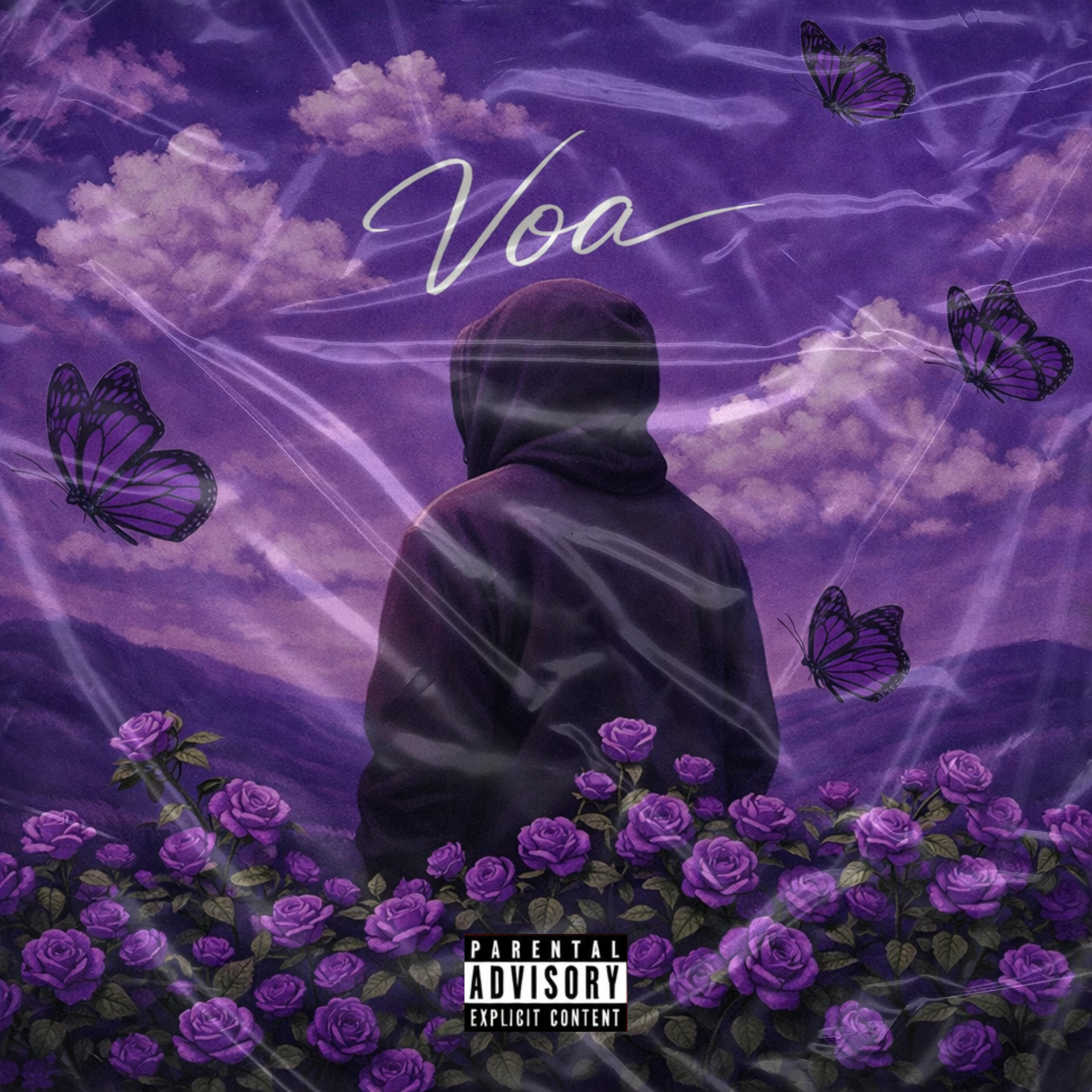 Релиз Voa
