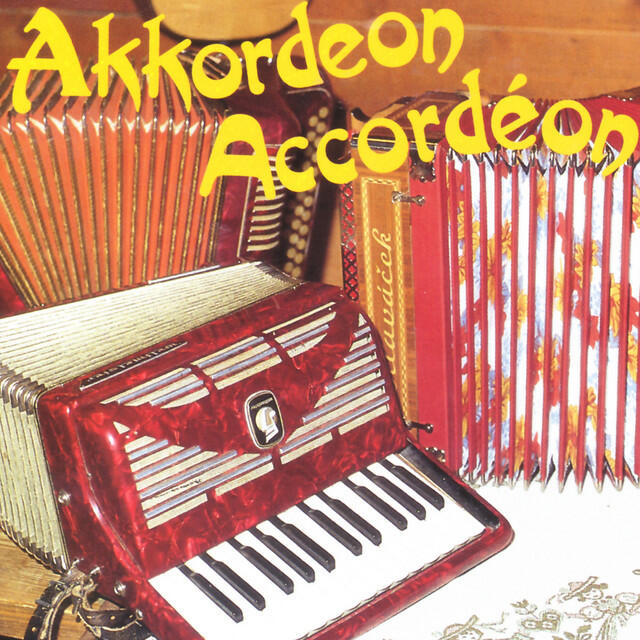 Релиз Akkordeon Hits