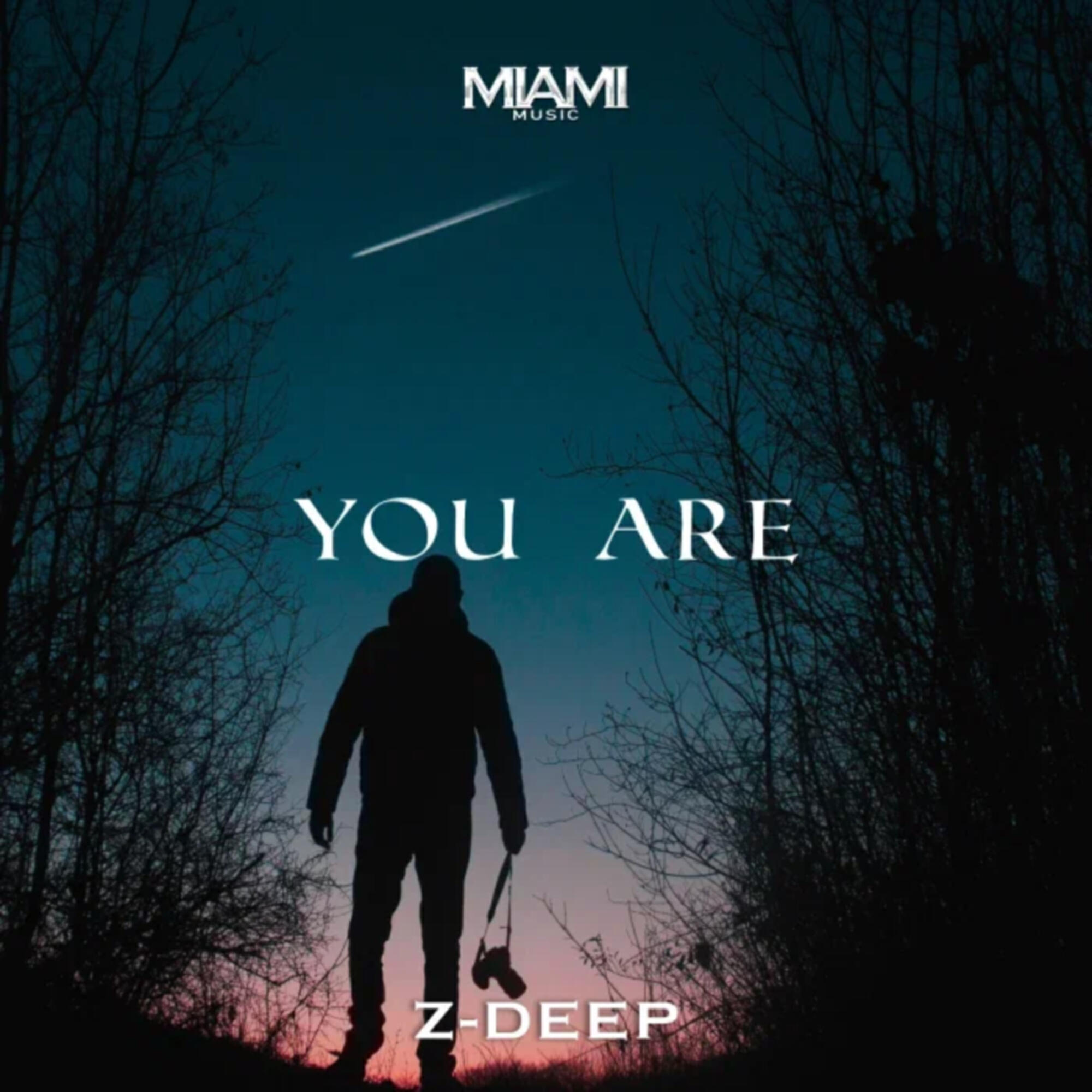 Постер альбома You Are