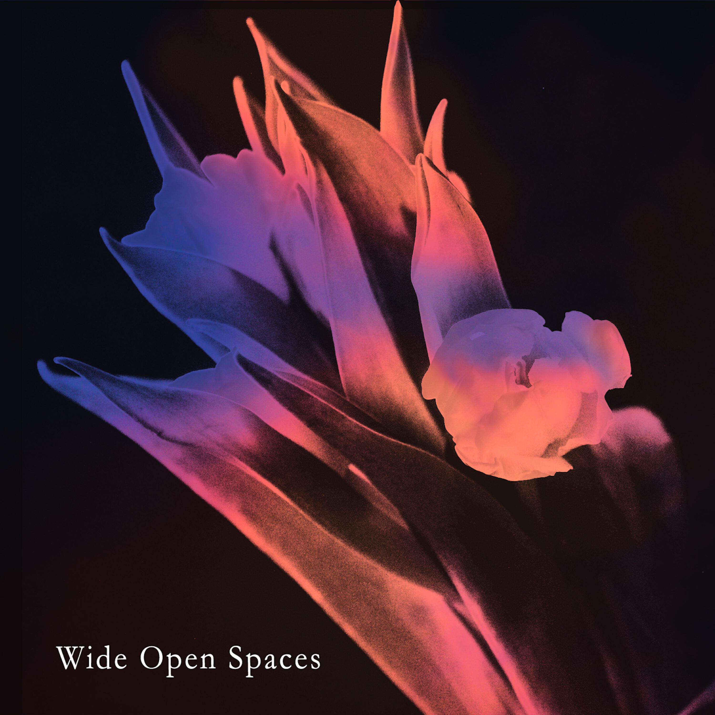 Релиз wide open spaces