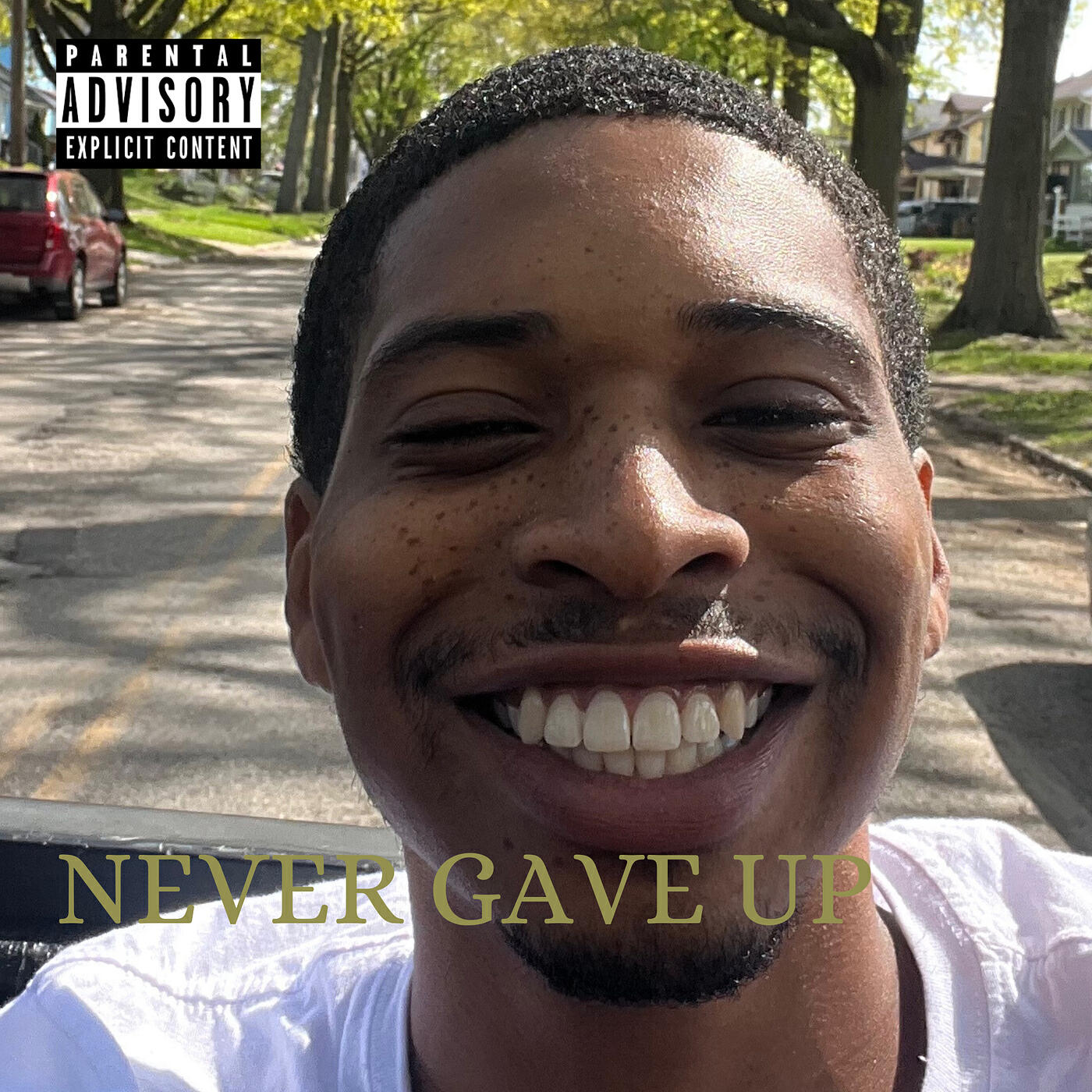 Релиз Never Gave Up