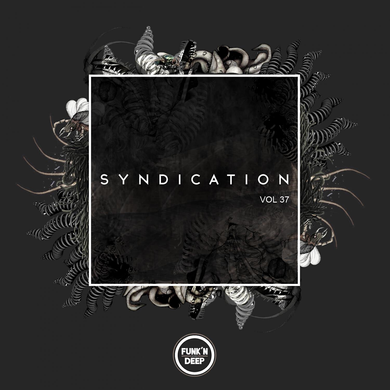 Релиз Syndication, Vol. 37