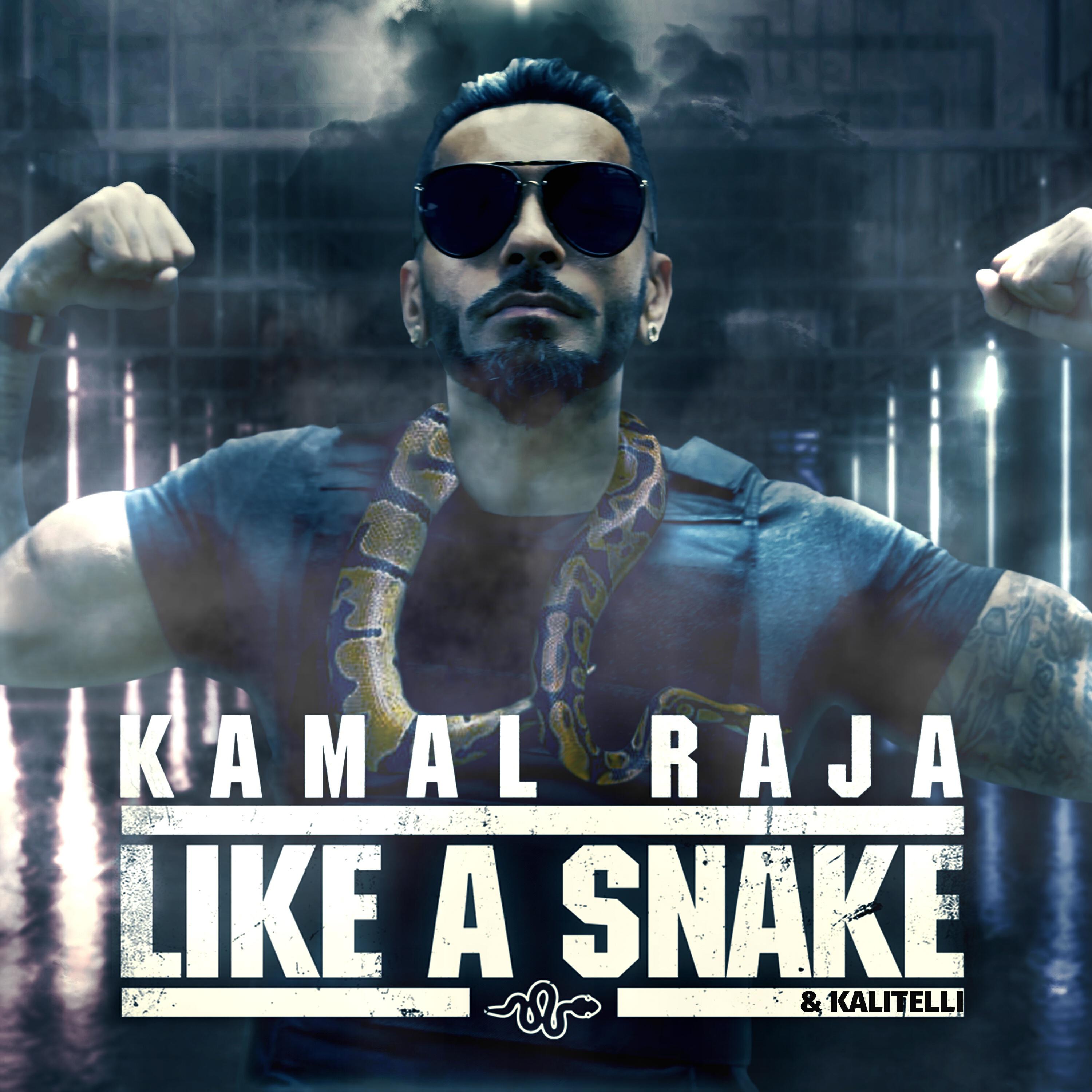 Релиз Like a Snake