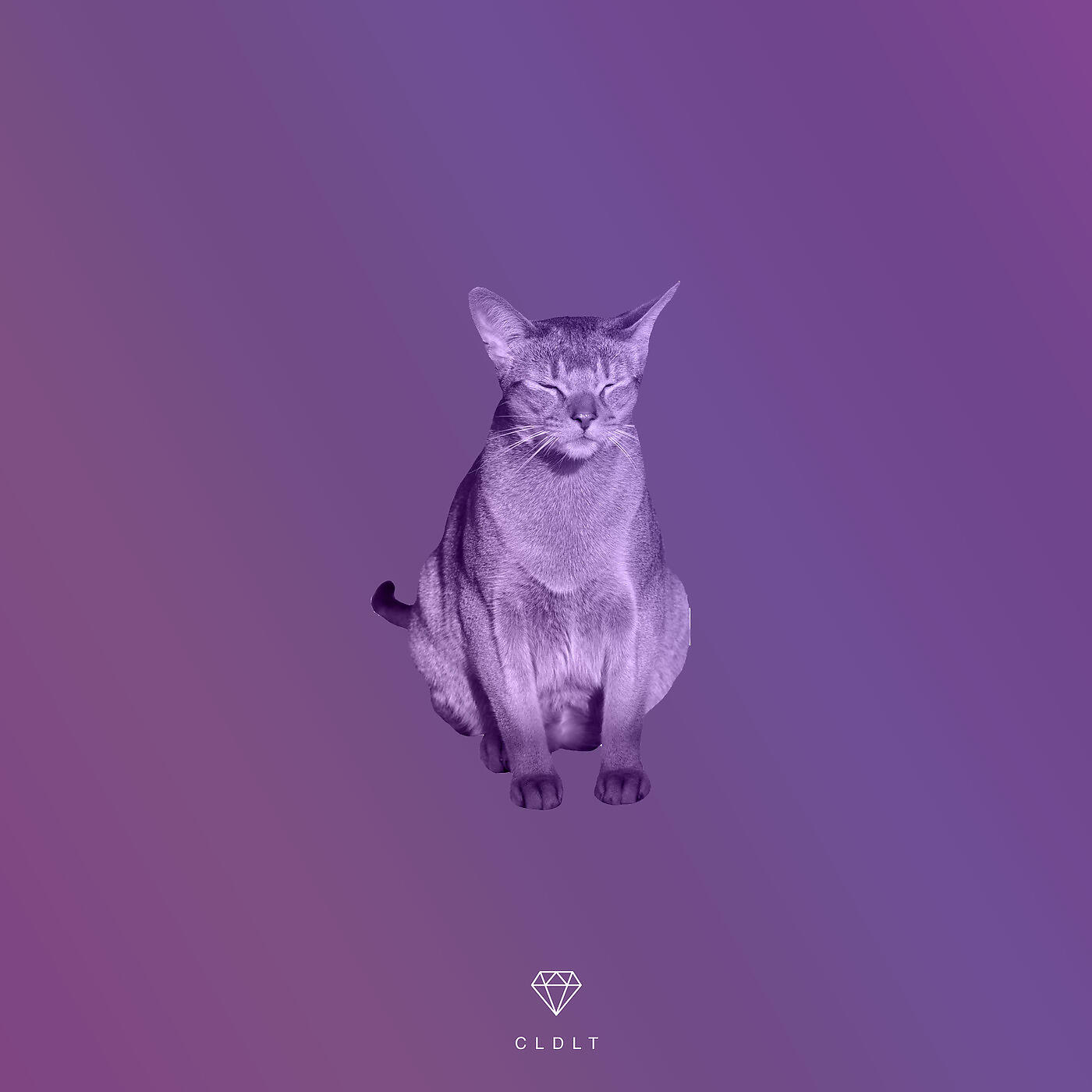 Релиз Simple