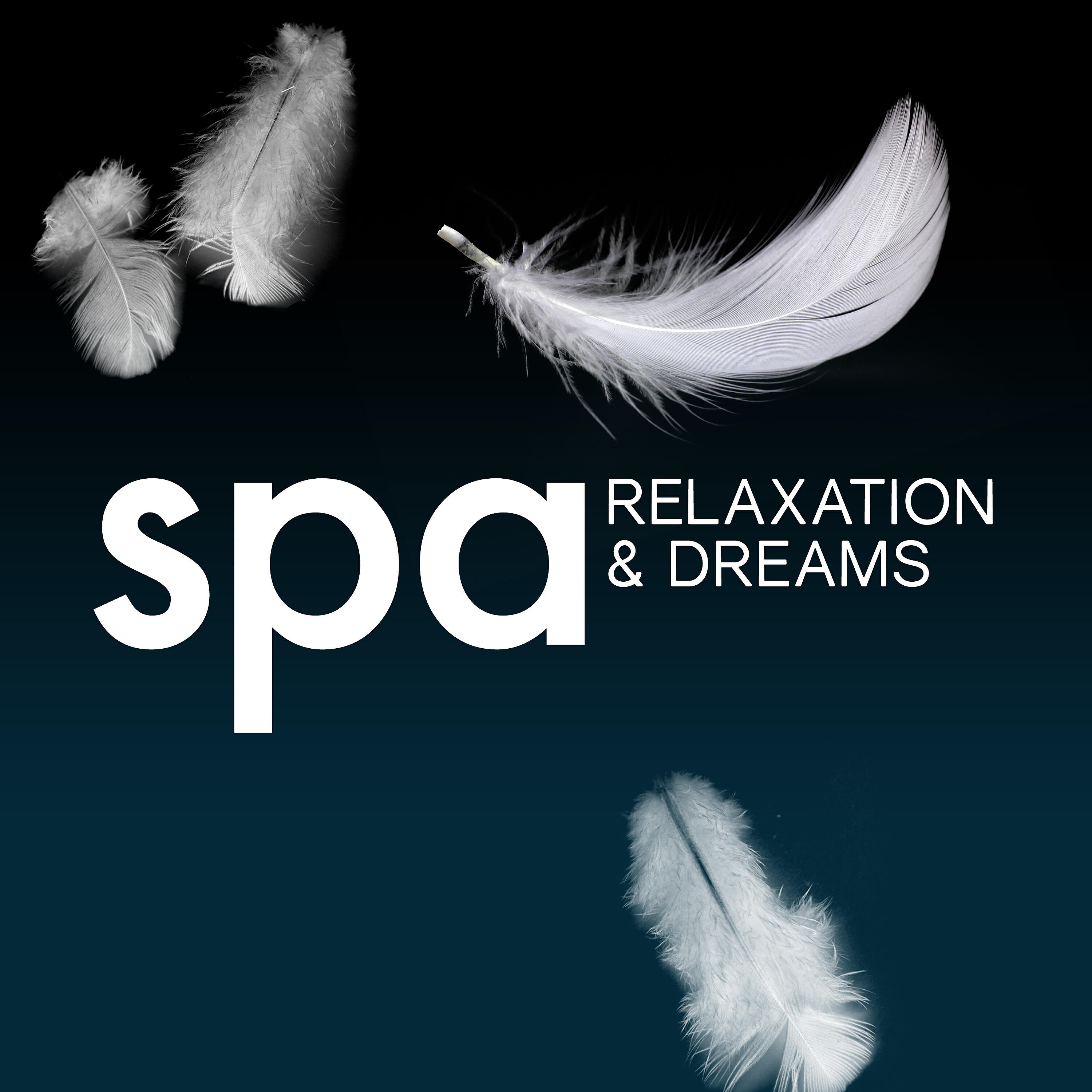 Релиз Spa, Relaxation and Dreams