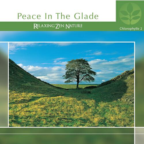 Релиз Chlorophylle II Peace in the Glade