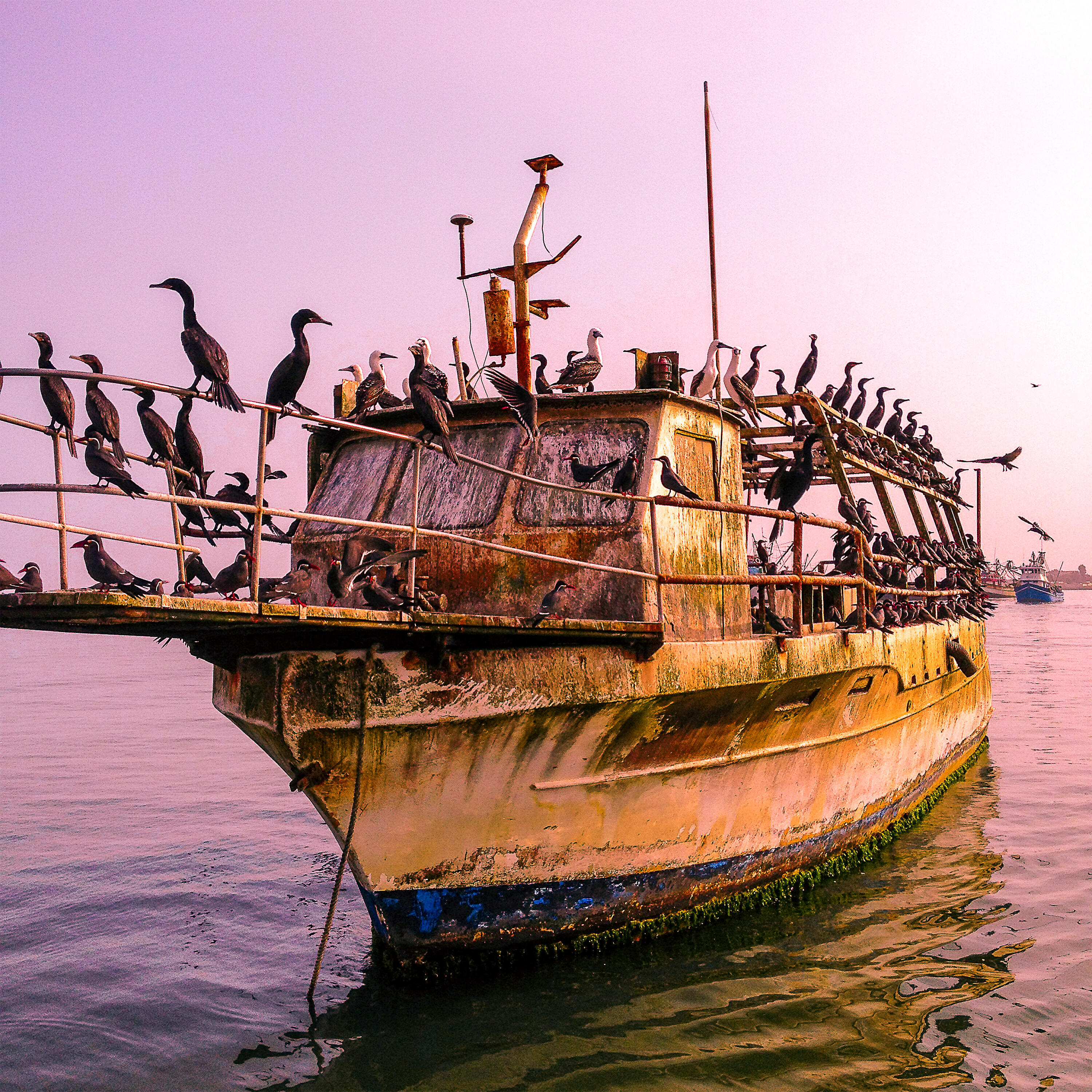 Релиз Depois do Fim