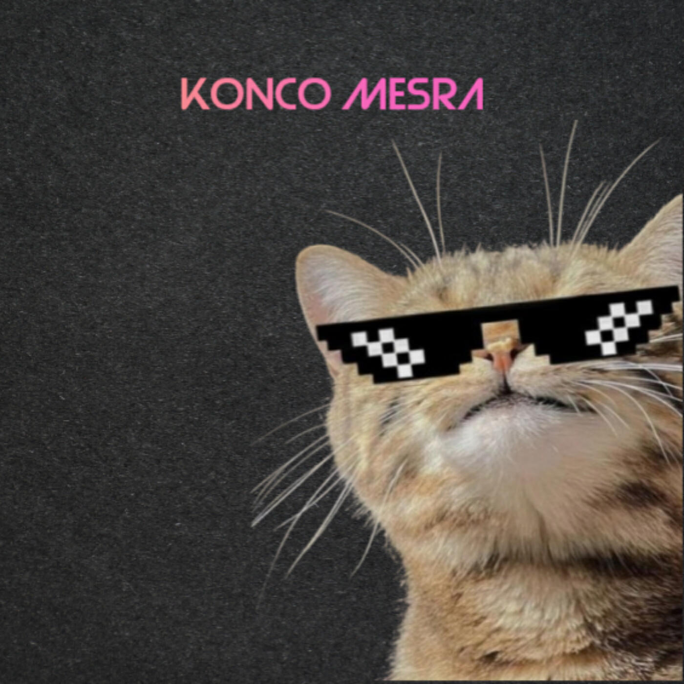 Релиз Konco Mesra