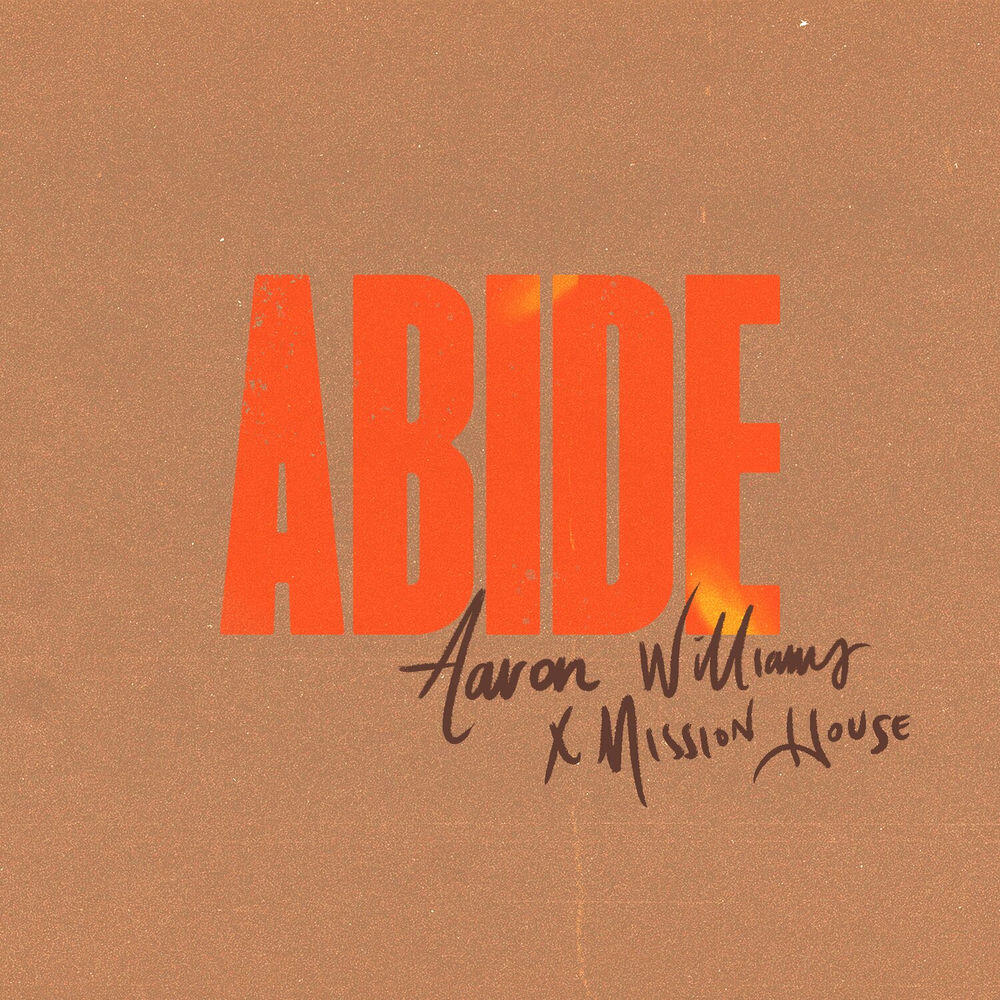 Релиз Abide (Radio Version)