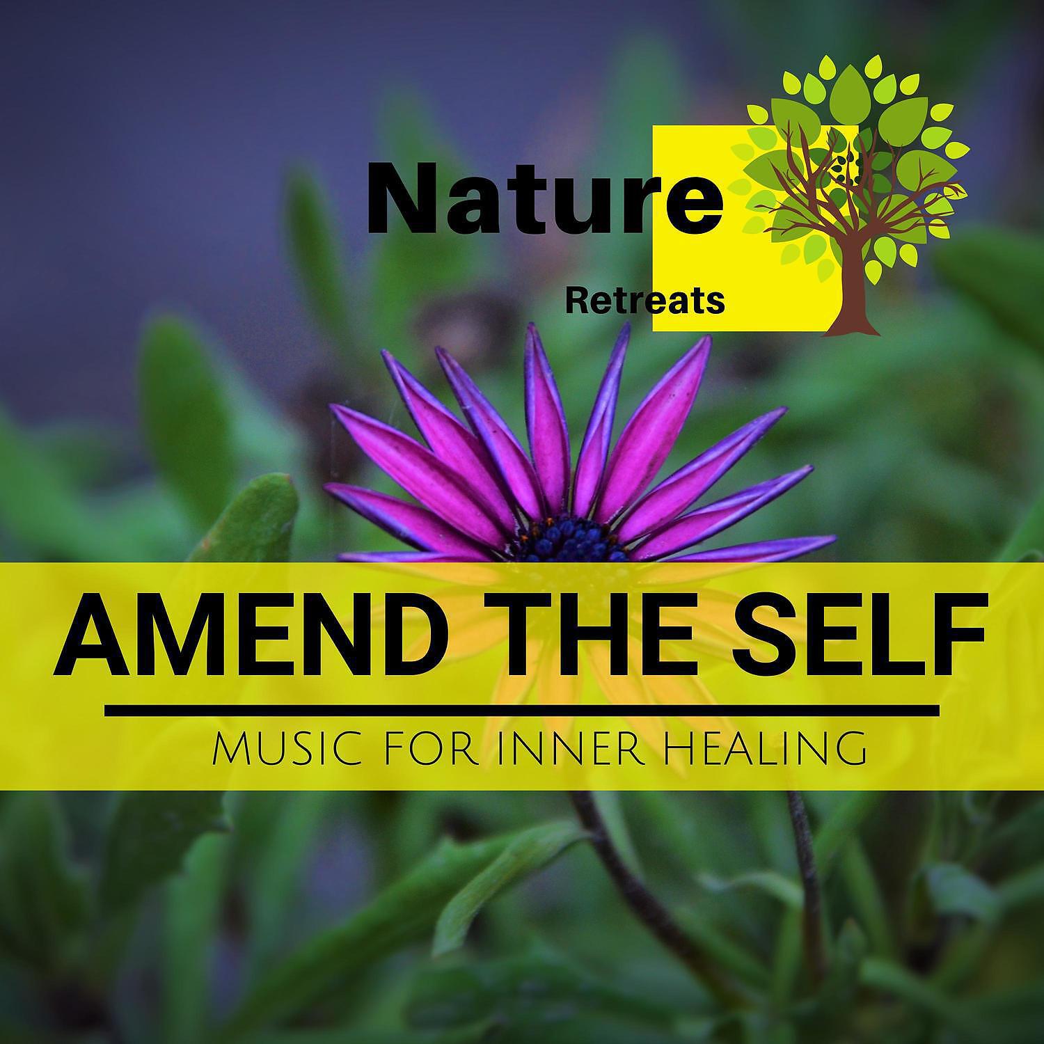 Релиз Amend the Self - Music for Inner Healing