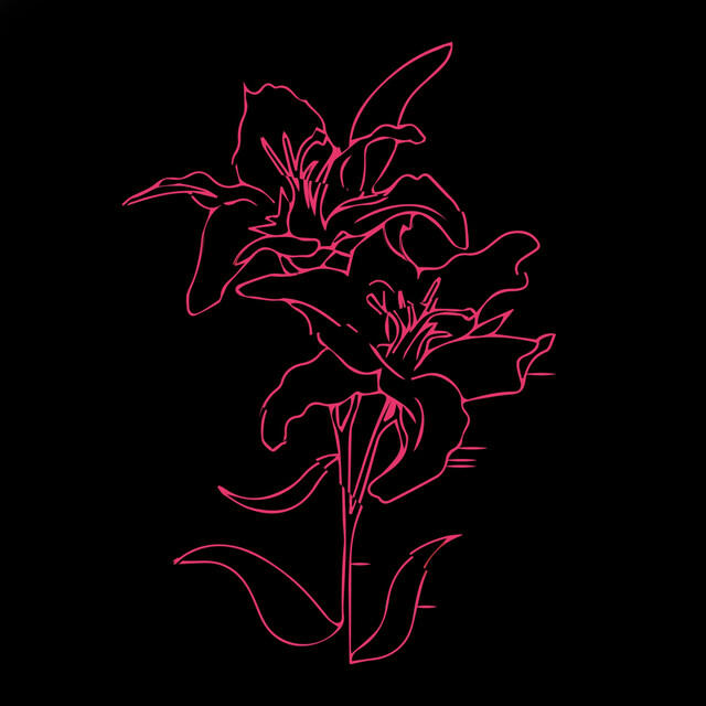 Bloom!